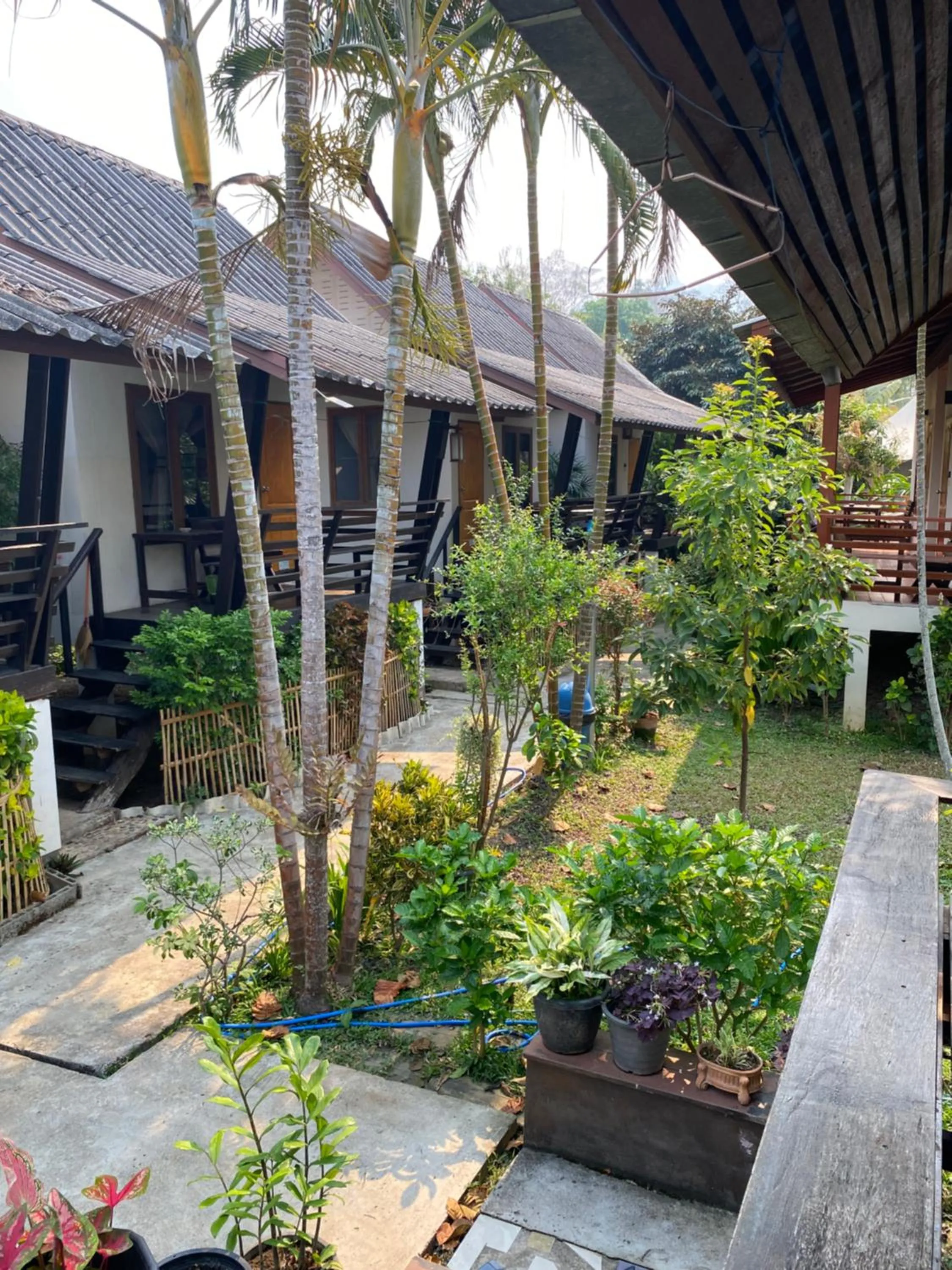 paibaansuan