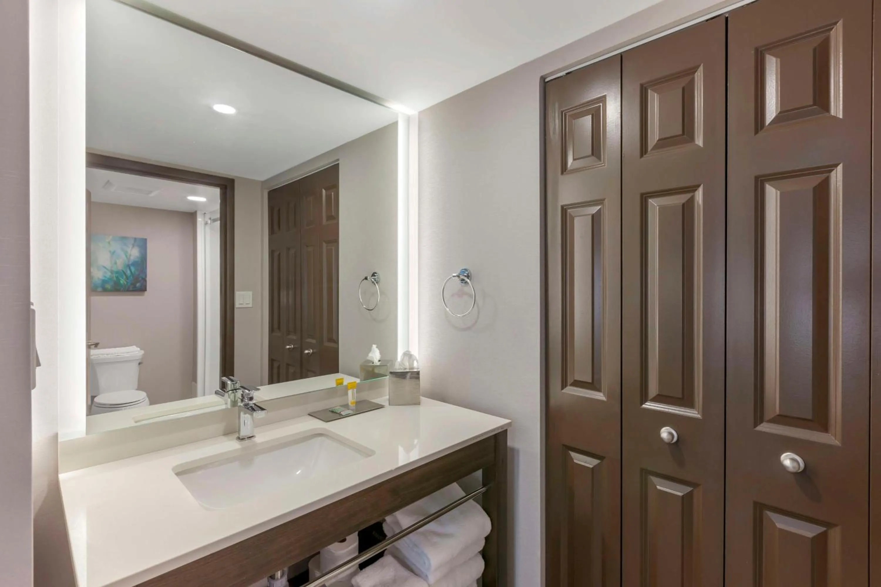 Bathroom in Executive Residency by Best Western Toronto-Mississauga