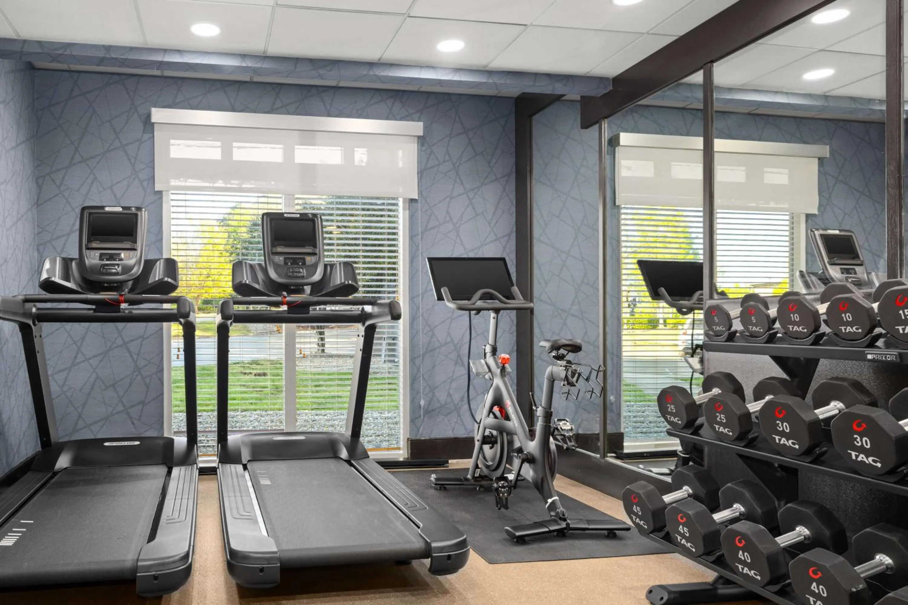 Fitness centre/facilities in Homewood Suites by Hilton Atlanta-Alpharetta