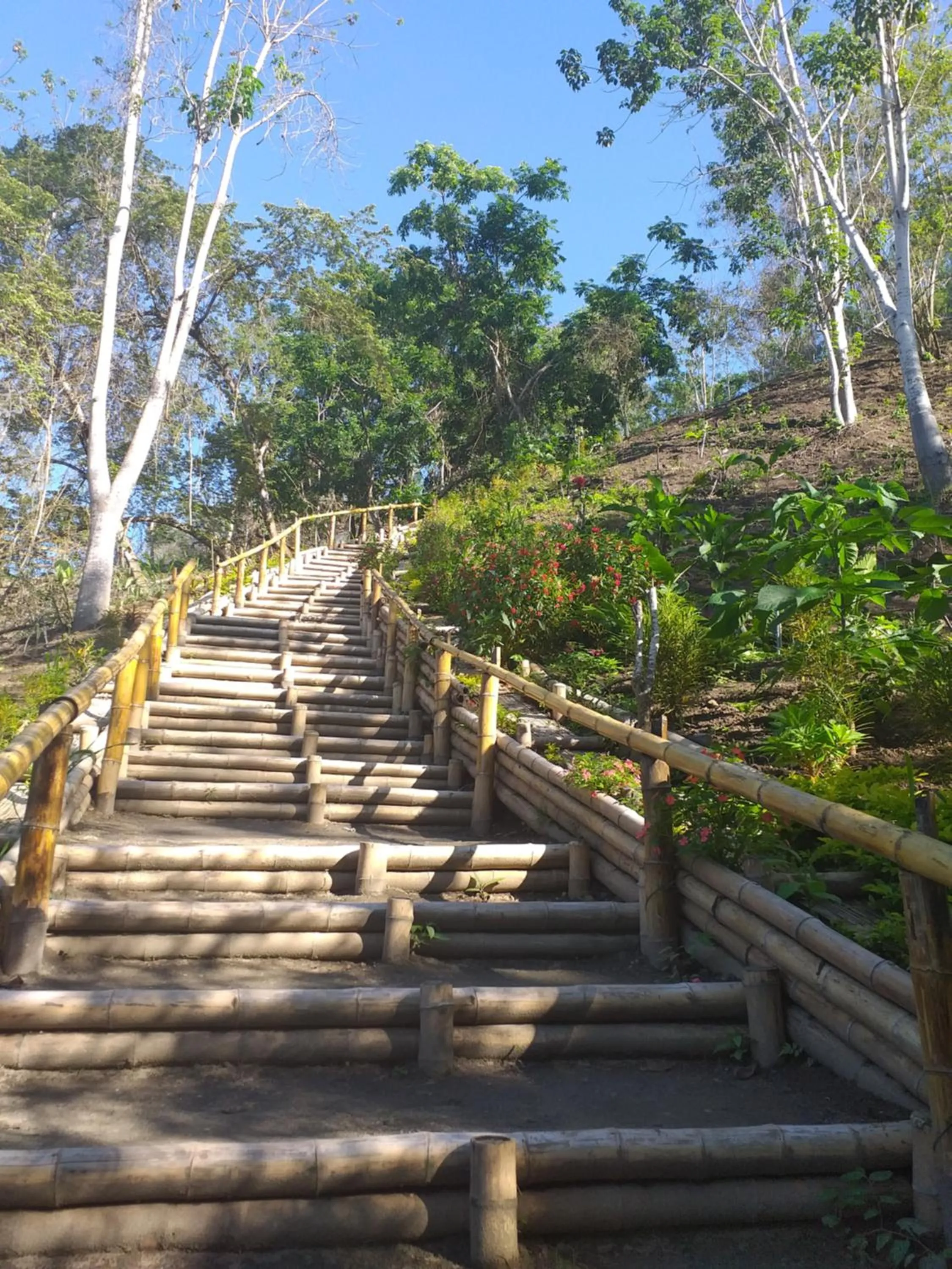 Hiking in Hotel El Marqués