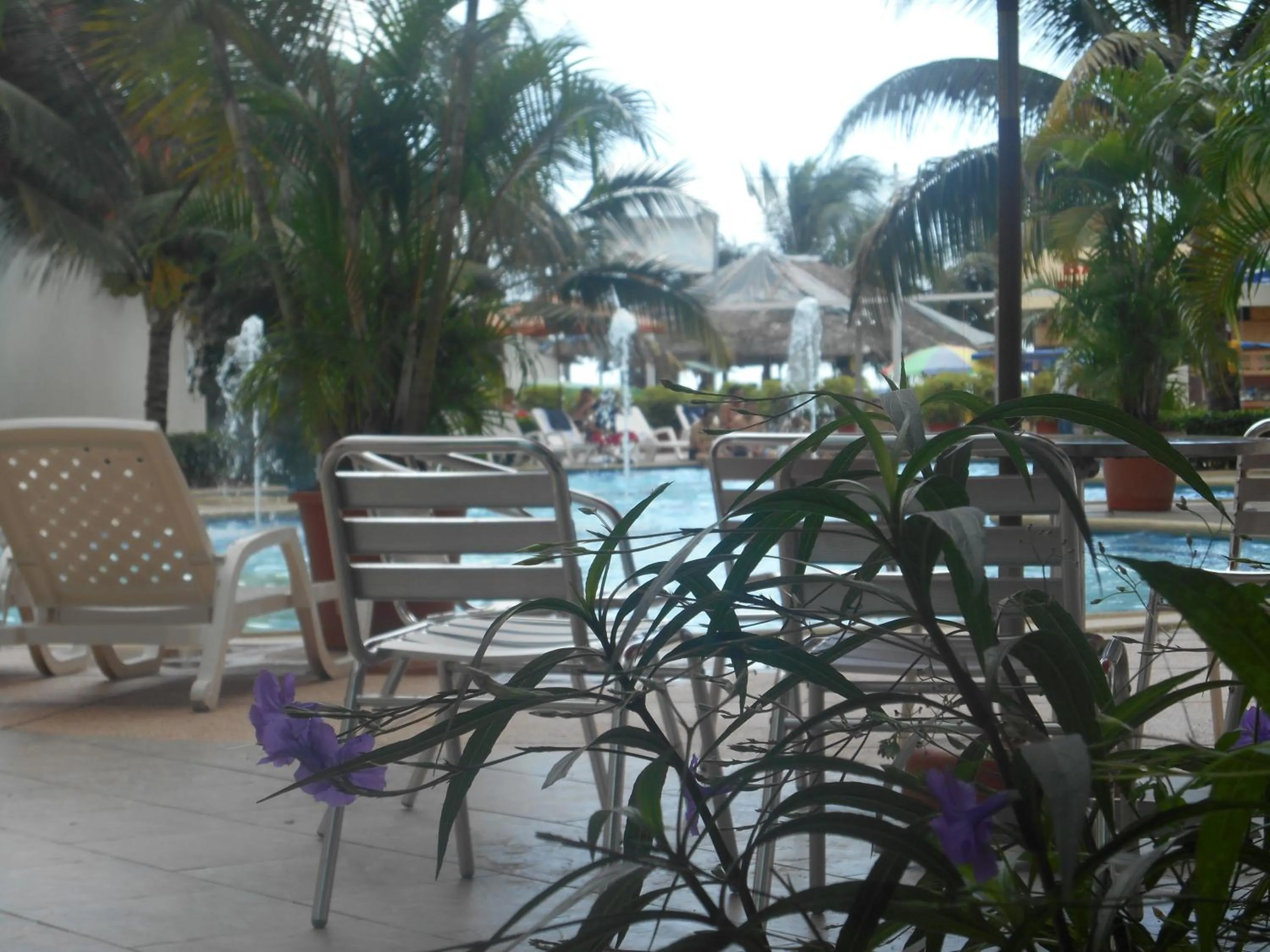 Swimming pool in Hotel El Marqués