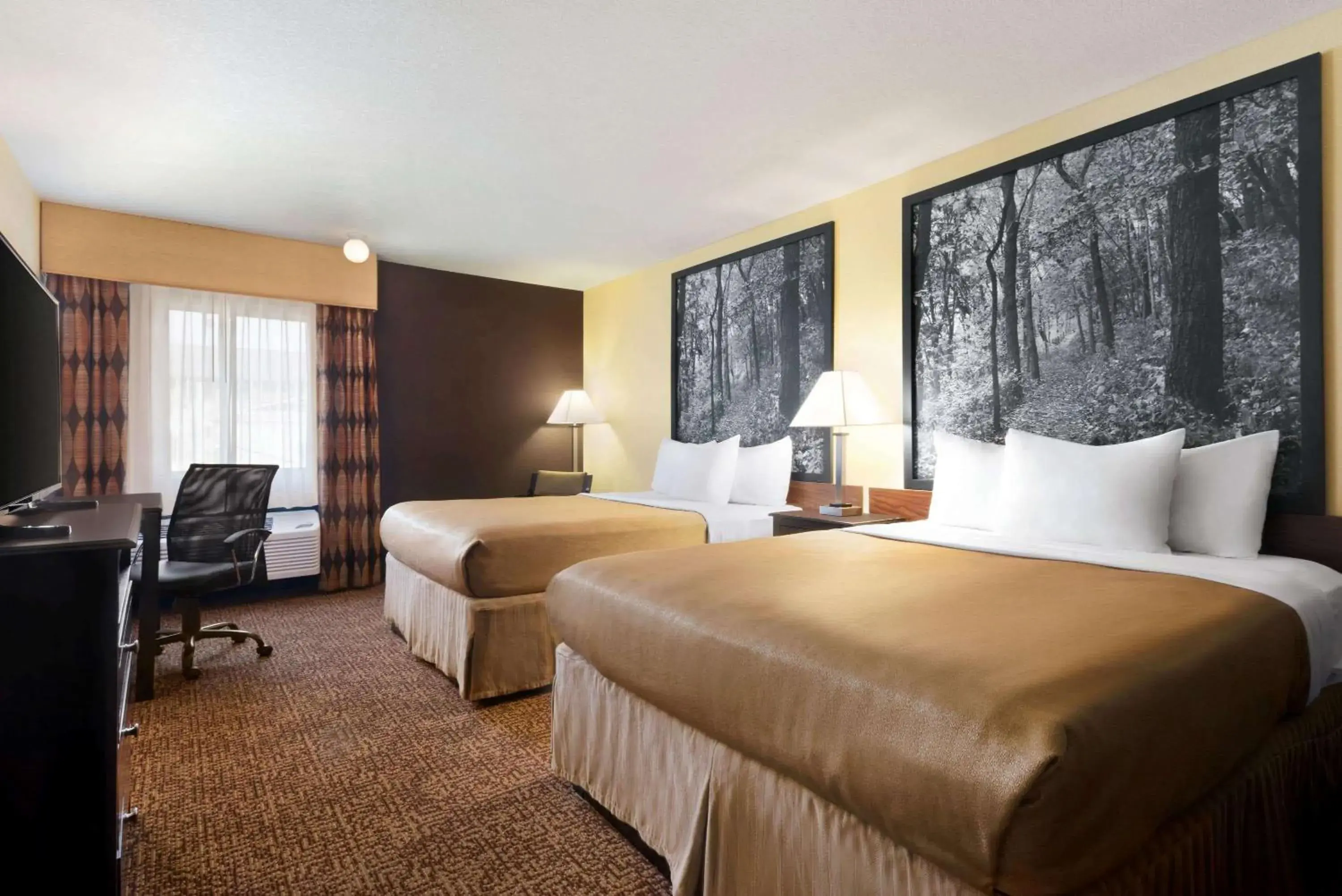 Photo of the whole room, Bed in Super 8 by Wyndham Des Moines