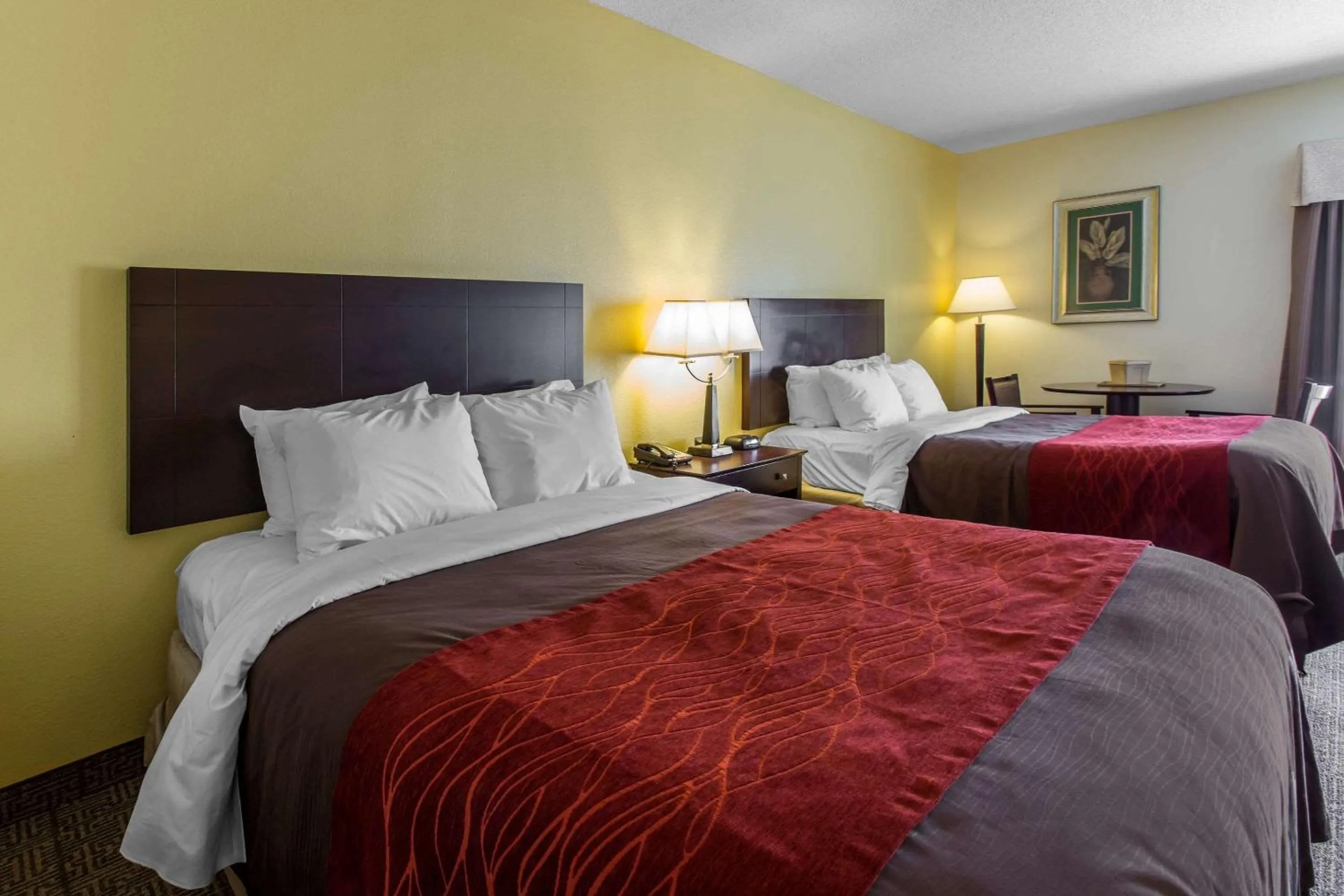 Photo of the whole room in Comfort Inn & Suites Thomson