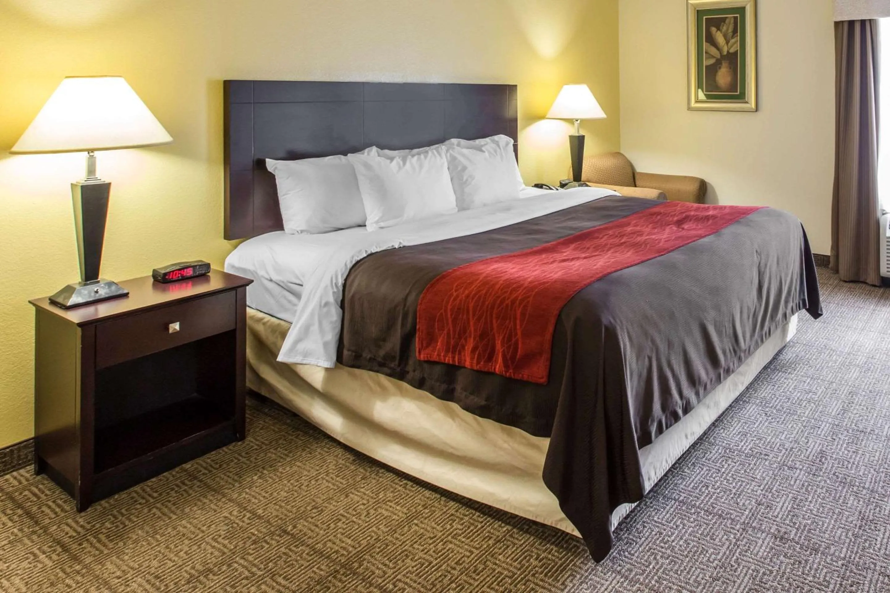 Photo of the whole room in Comfort Inn & Suites Thomson