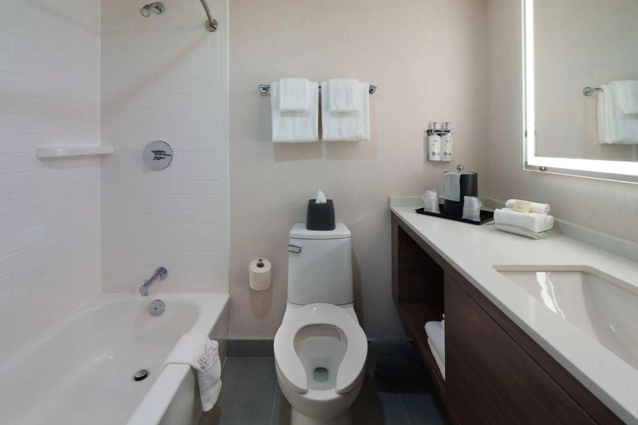 Bathroom in Holiday Inn Laval Montreal by IHG