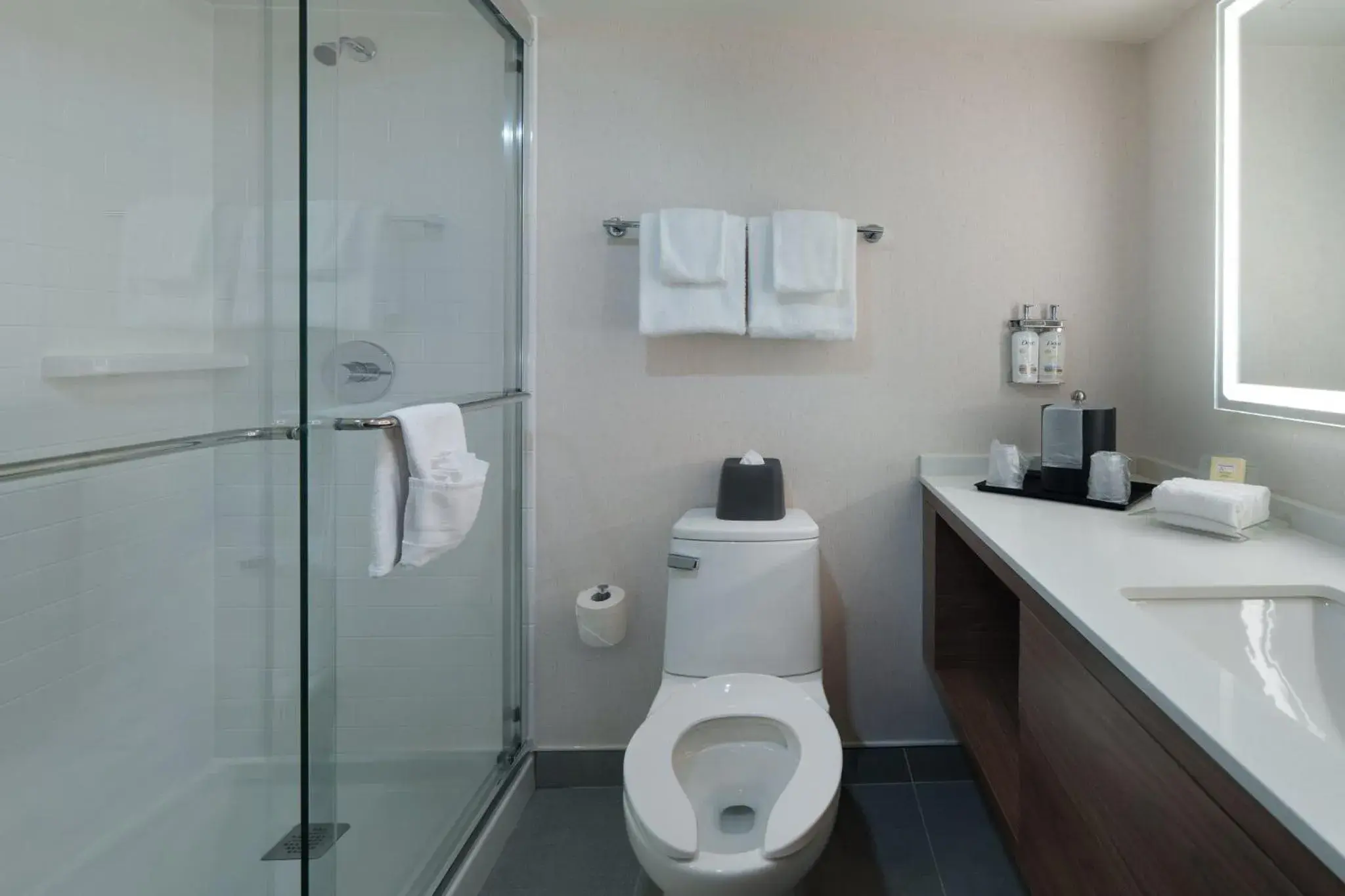 Bathroom in Holiday Inn Laval Montreal by IHG Bathroom in Holiday Inn Laval Montreal by IHG