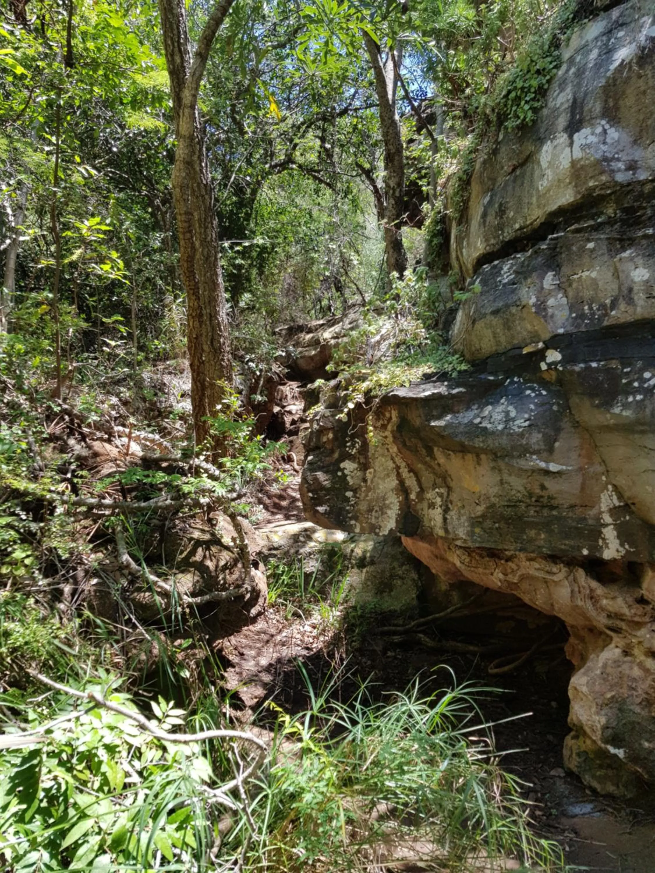 Hiking in Blyde Canyon, A Forever Resort