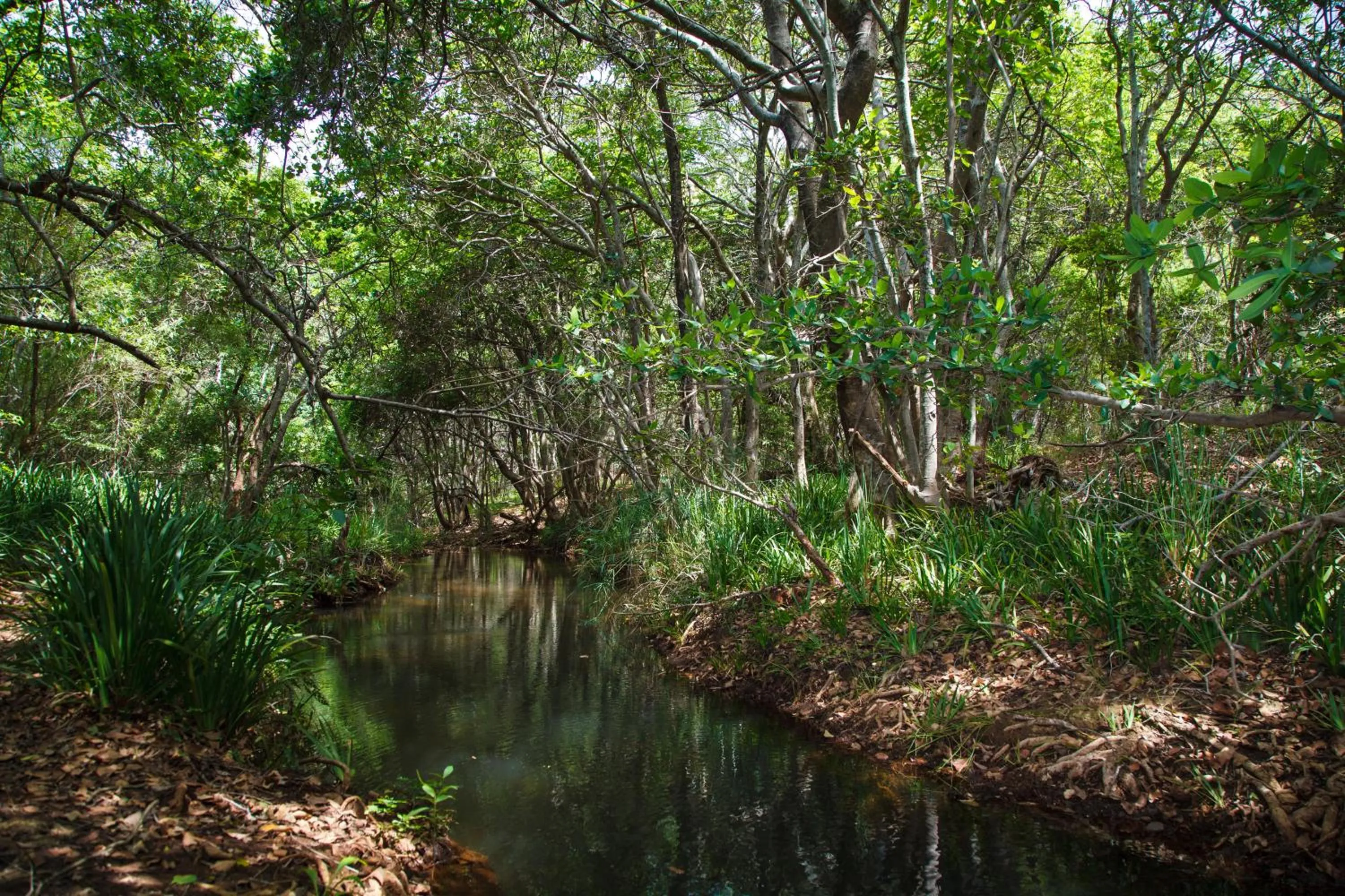 Hiking in Blyde Canyon, A Forever Resort