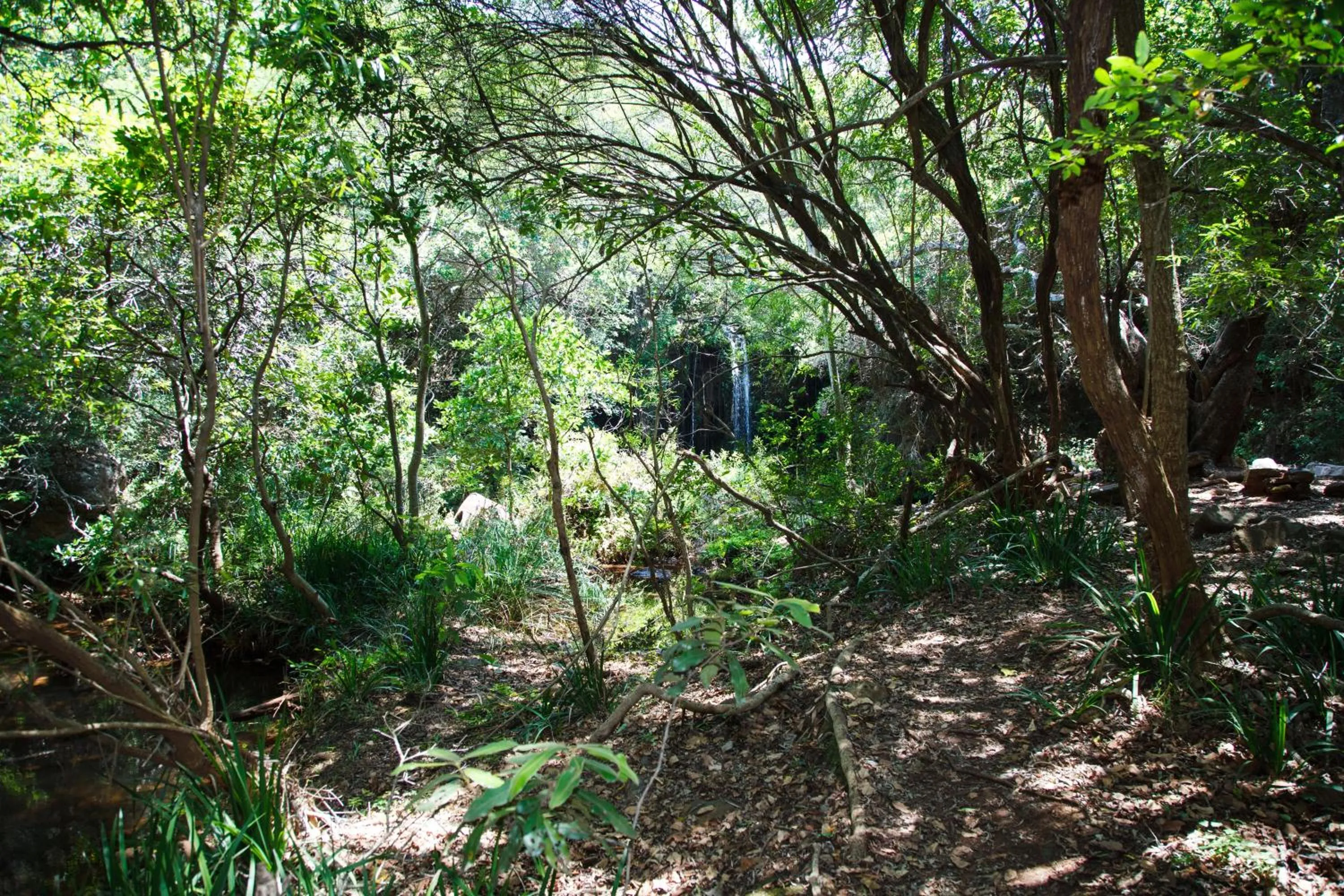 Hiking in Blyde Canyon, A Forever Resort