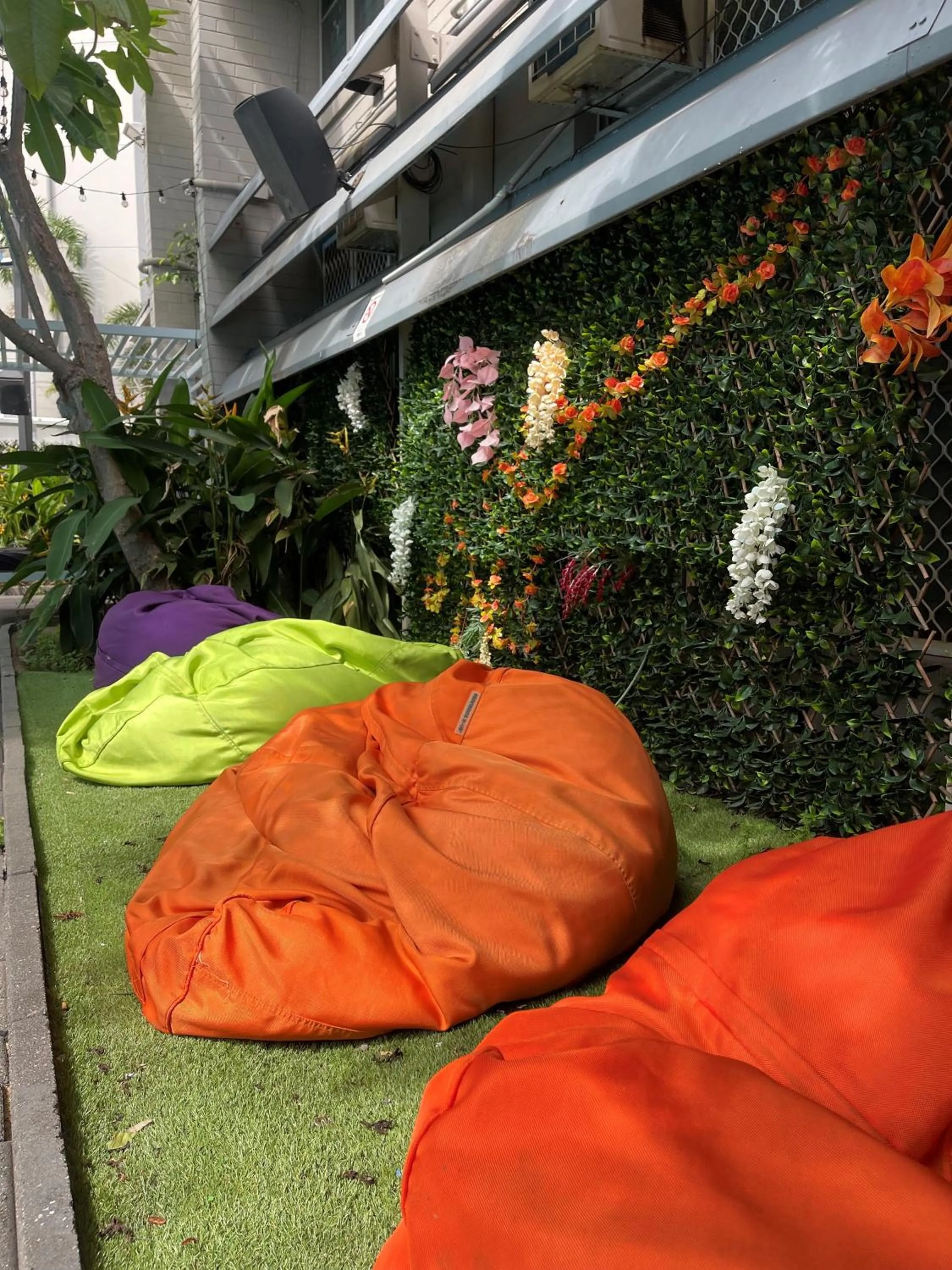 Lounge or bar in Youth Shack Backpackers Darwin
