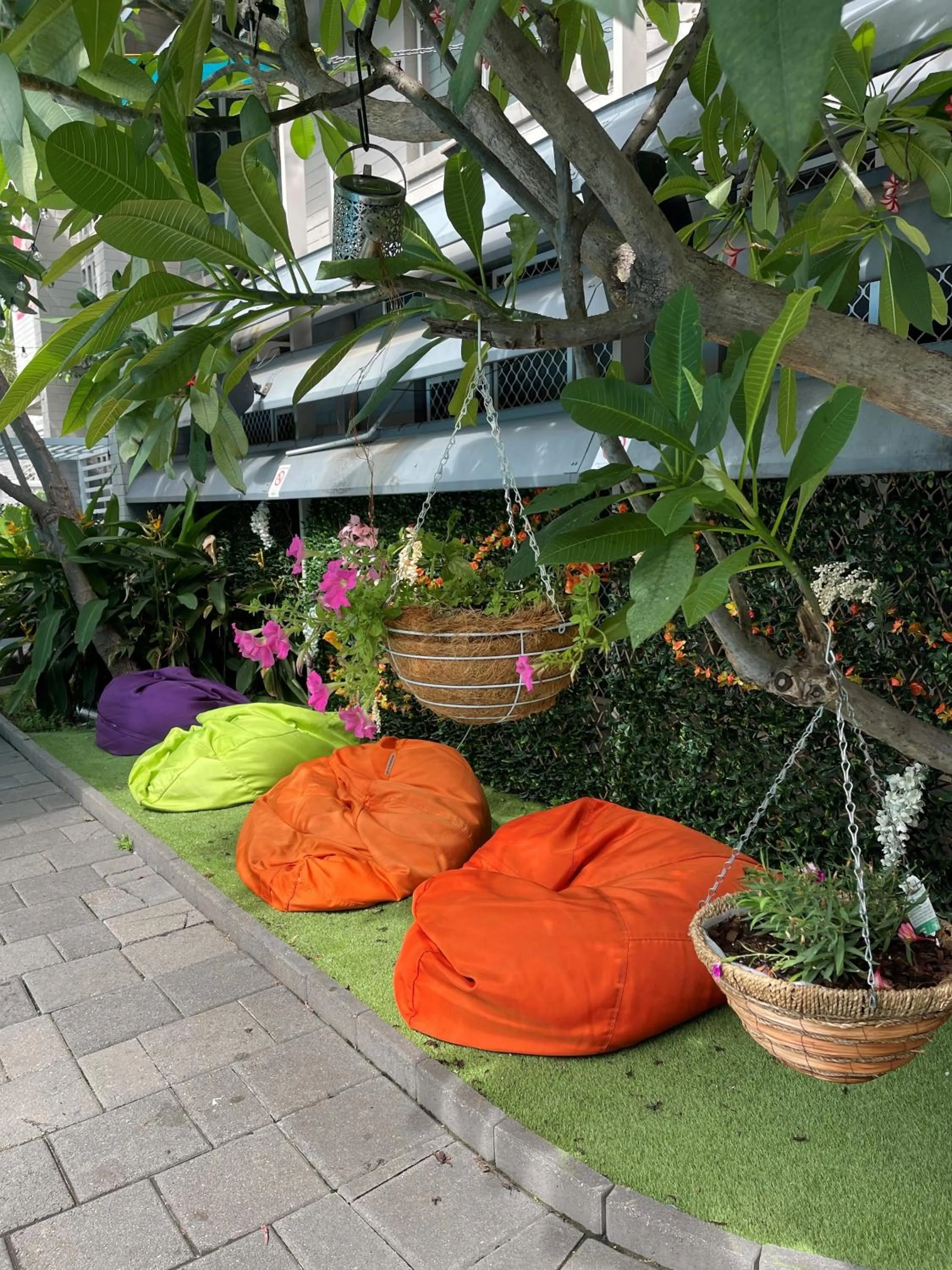 sunbed in Youth Shack Backpackers Darwin