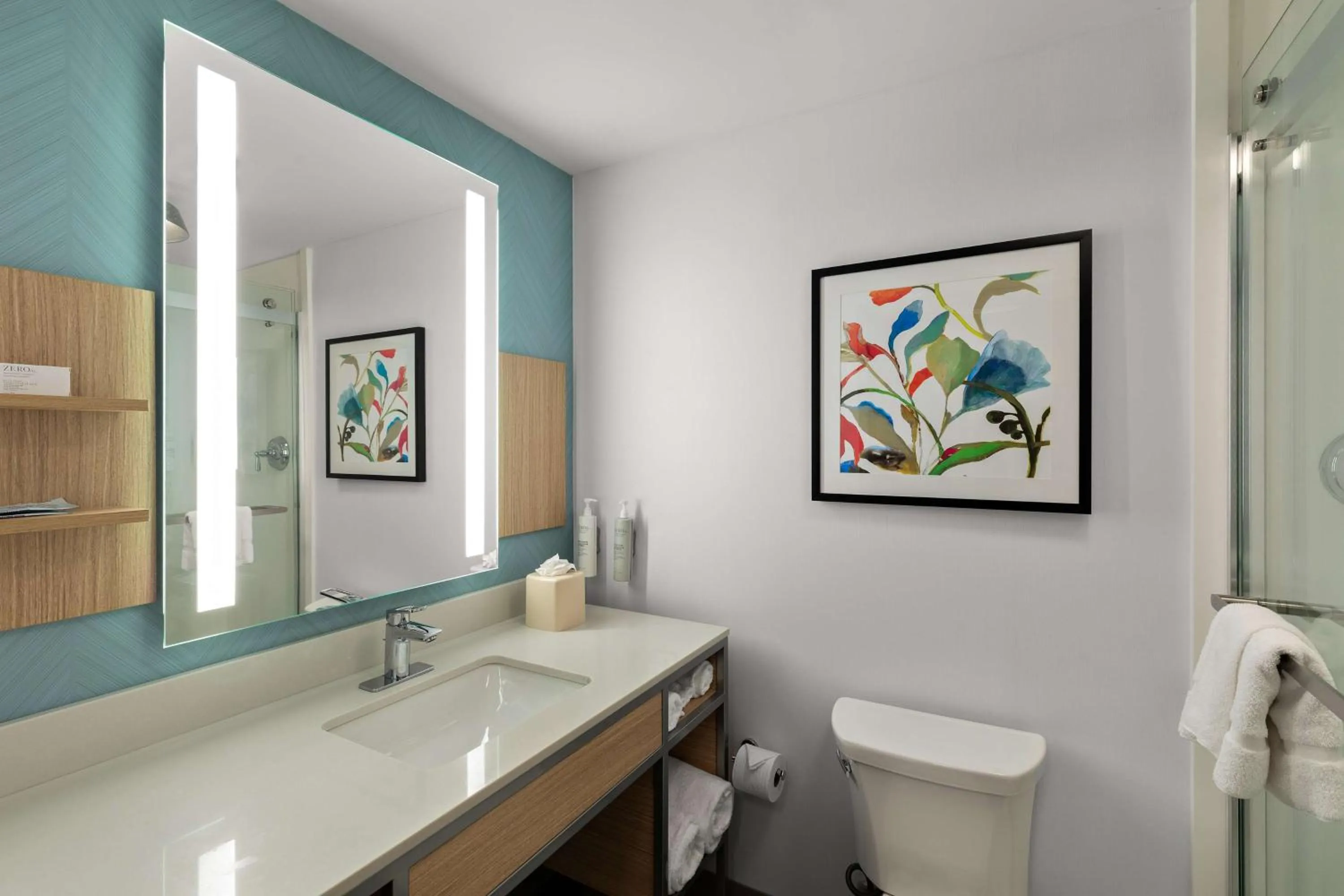 Bathroom in Hilton Garden Inn Atlanta East/Stonecrest