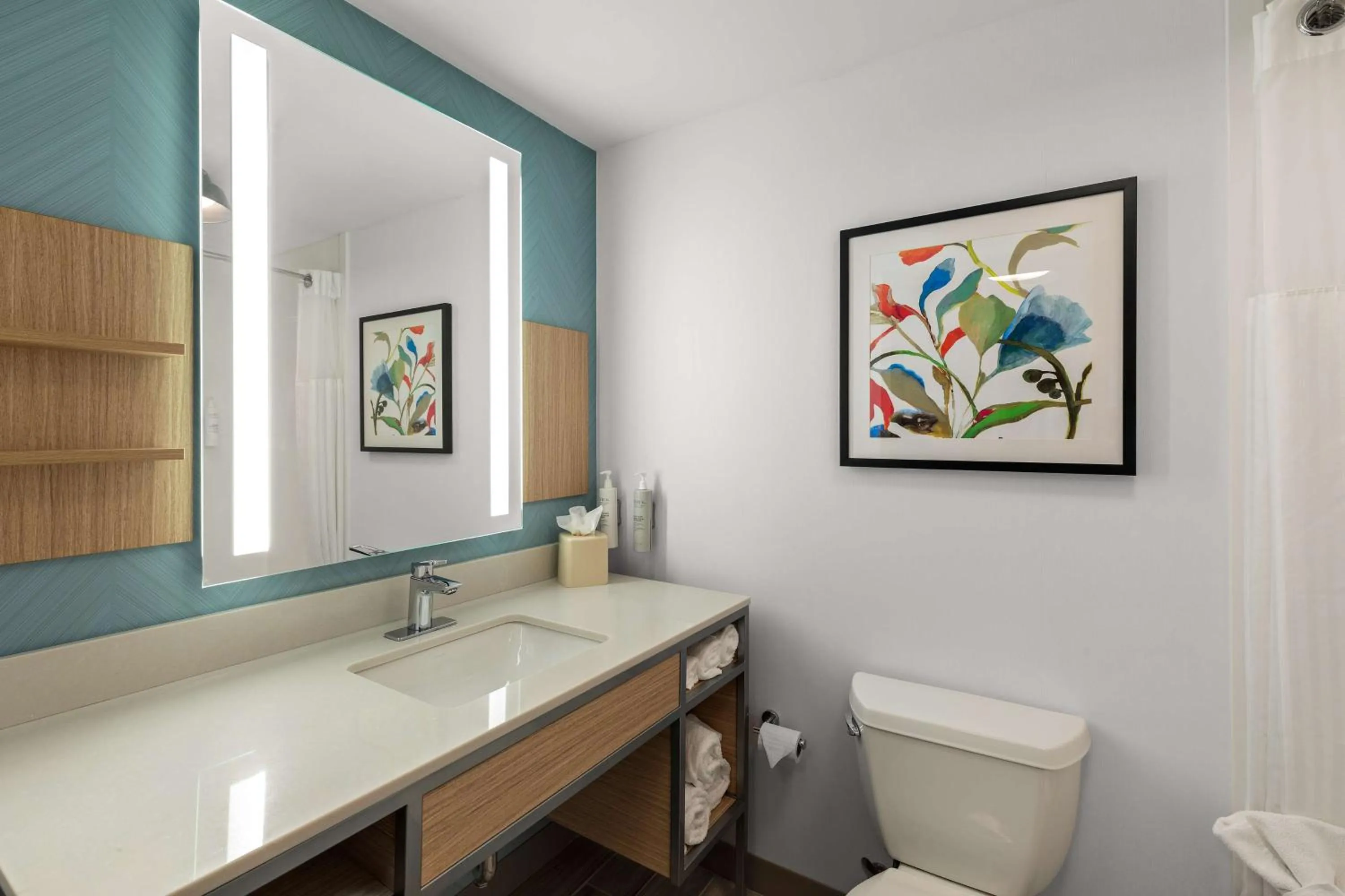 Bathroom in Hilton Garden Inn Atlanta East/Stonecrest