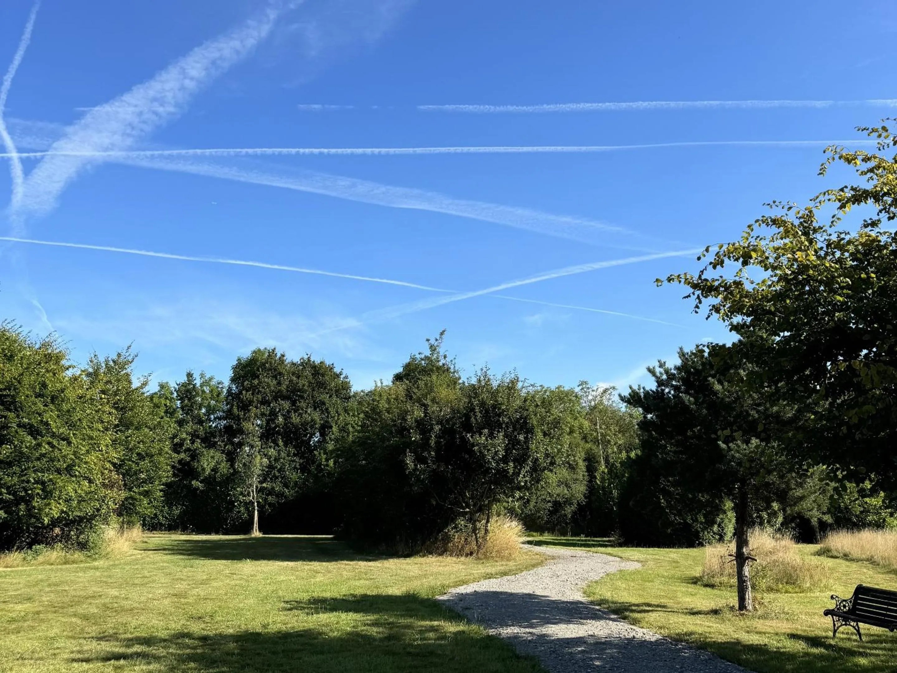 Natural landscape in Hookwood Lodge London Gatwick