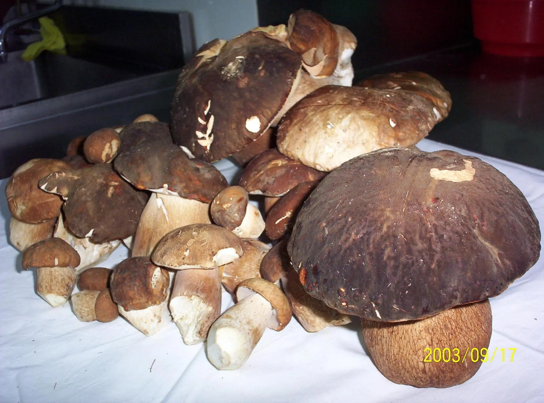 Food close-up in Hotel Azkue