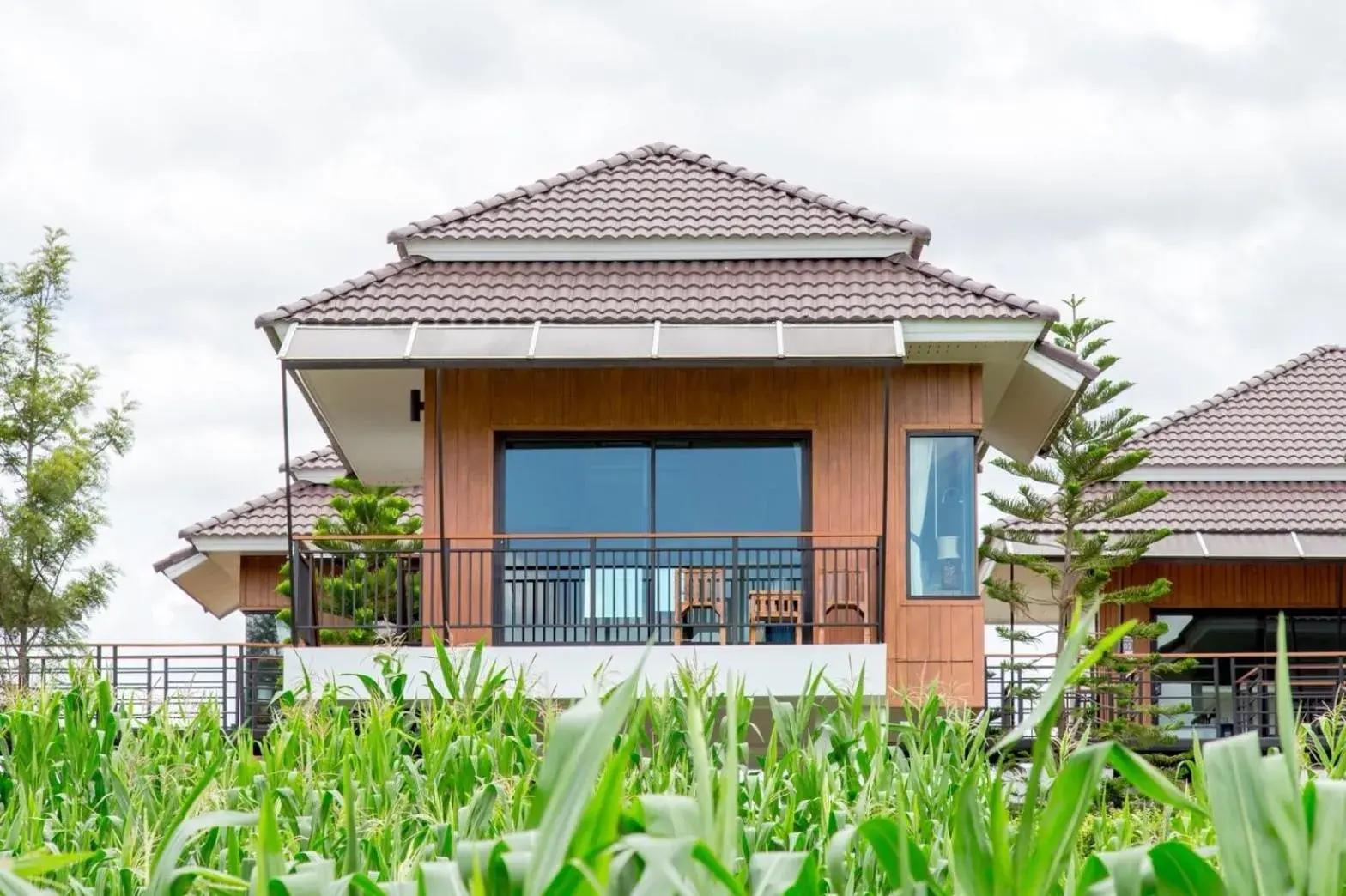 Deluxe Villa in Phuruakeeree Resort Deluxe Villa in Phuruakeeree Resort