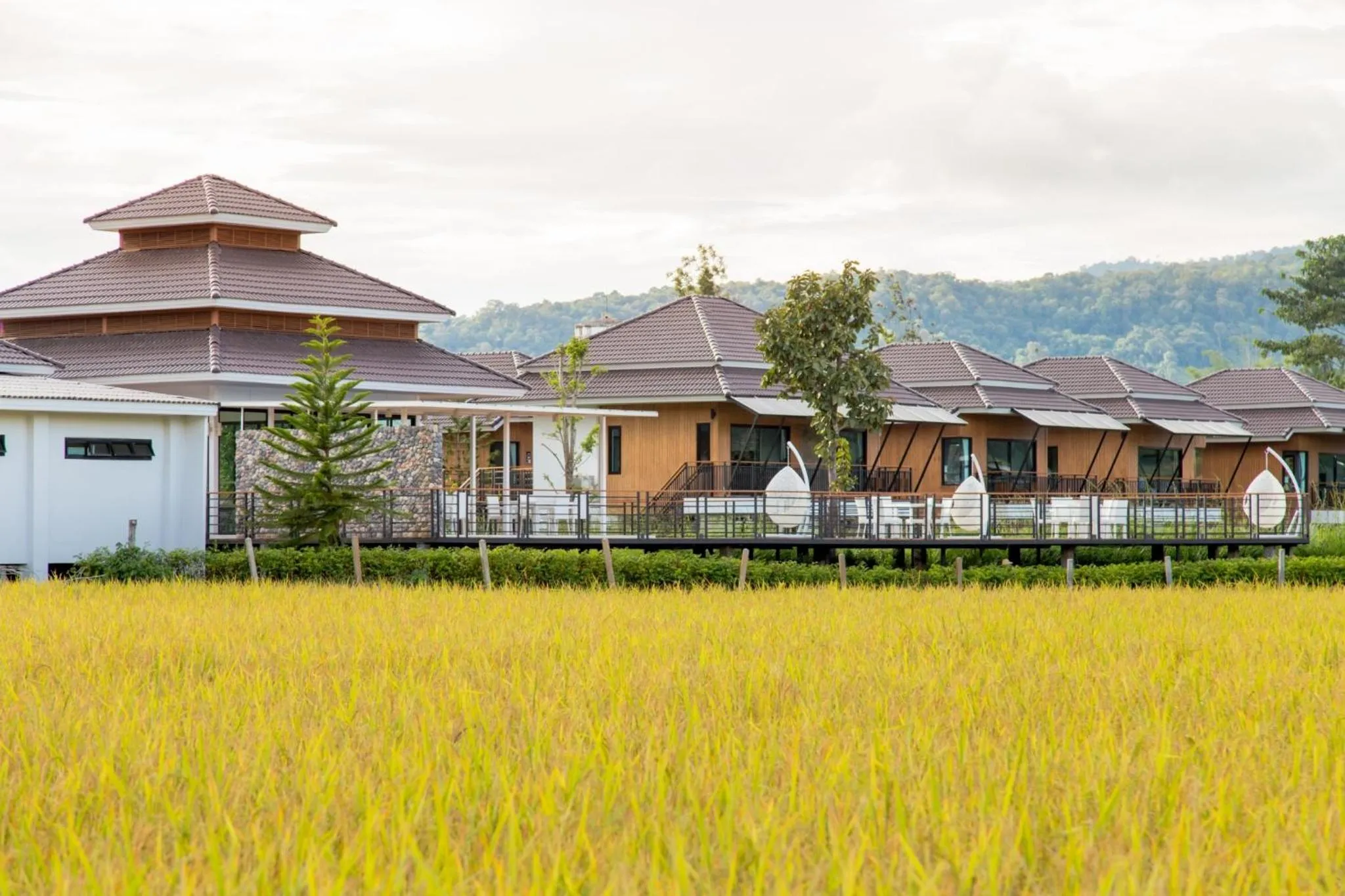 Activities in Phuruakeeree Resort