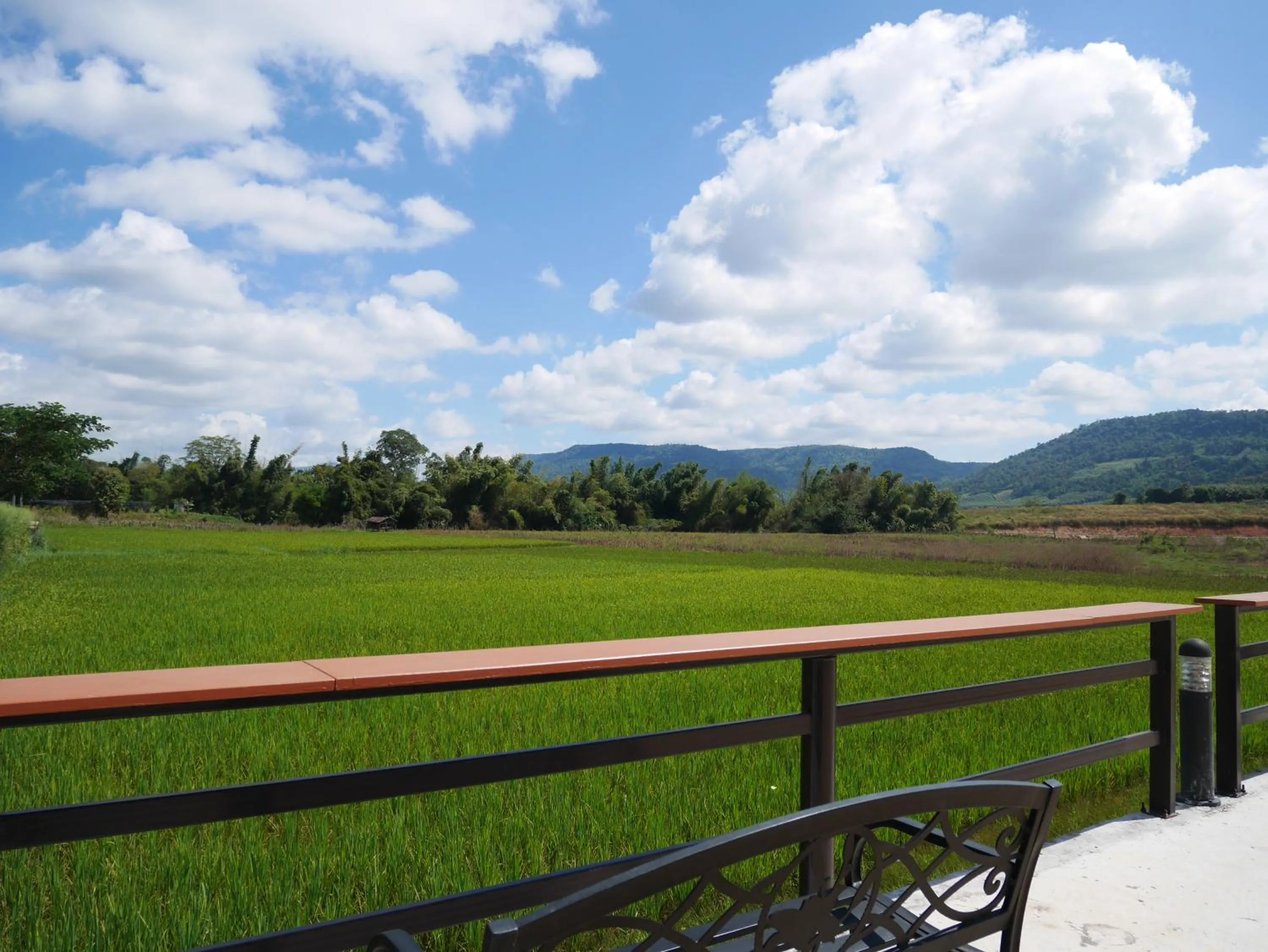 Natural landscape in Phuruakeeree Resort