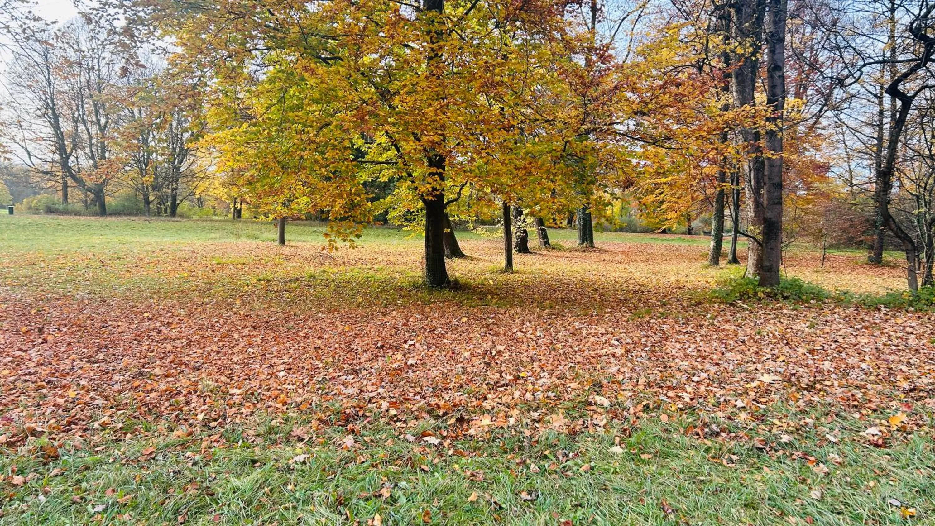 Area and facilities in Hotel Biederstein am Englischen Garten