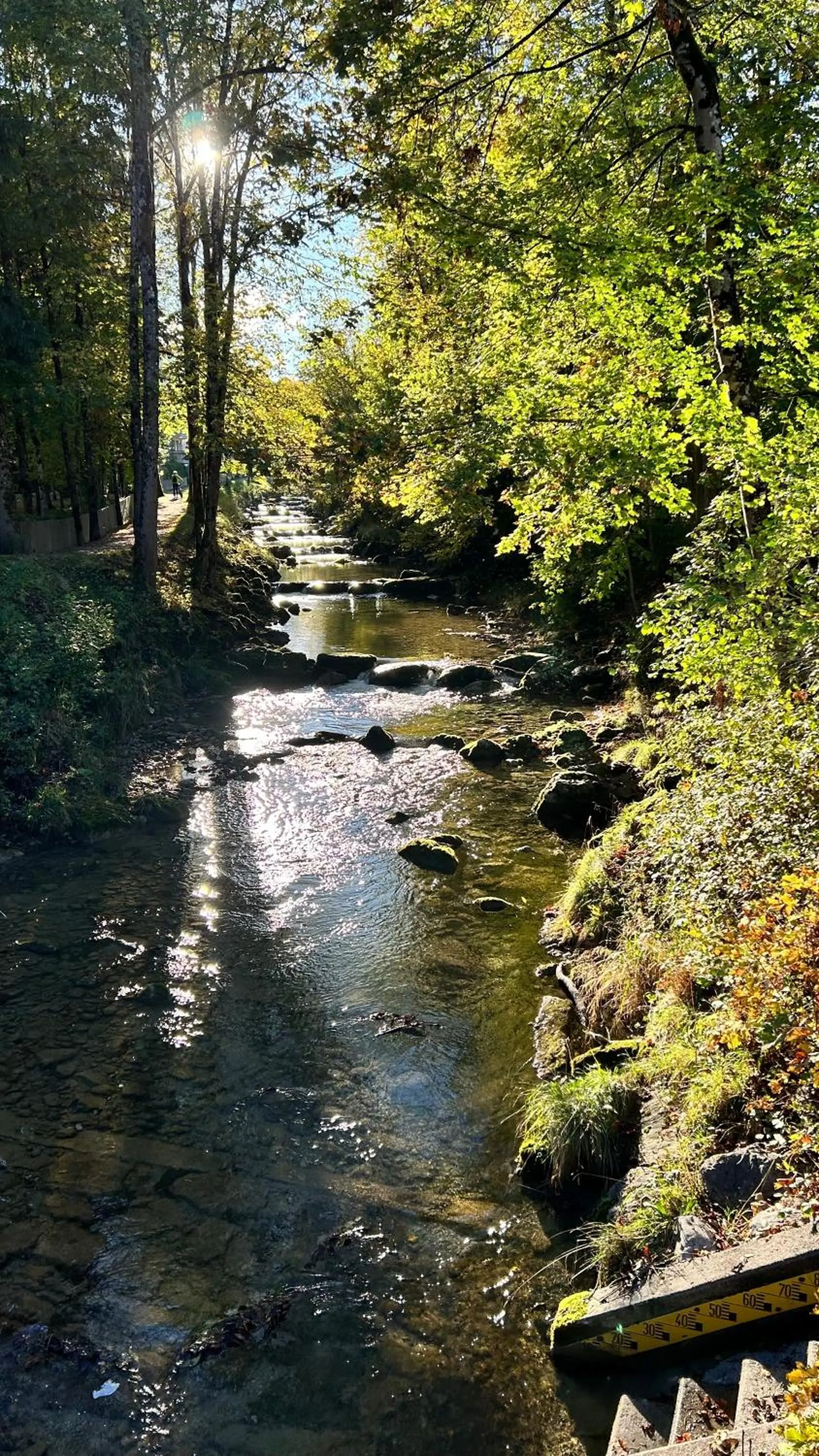 Area and facilities in Hotel Biederstein am Englischen Garten