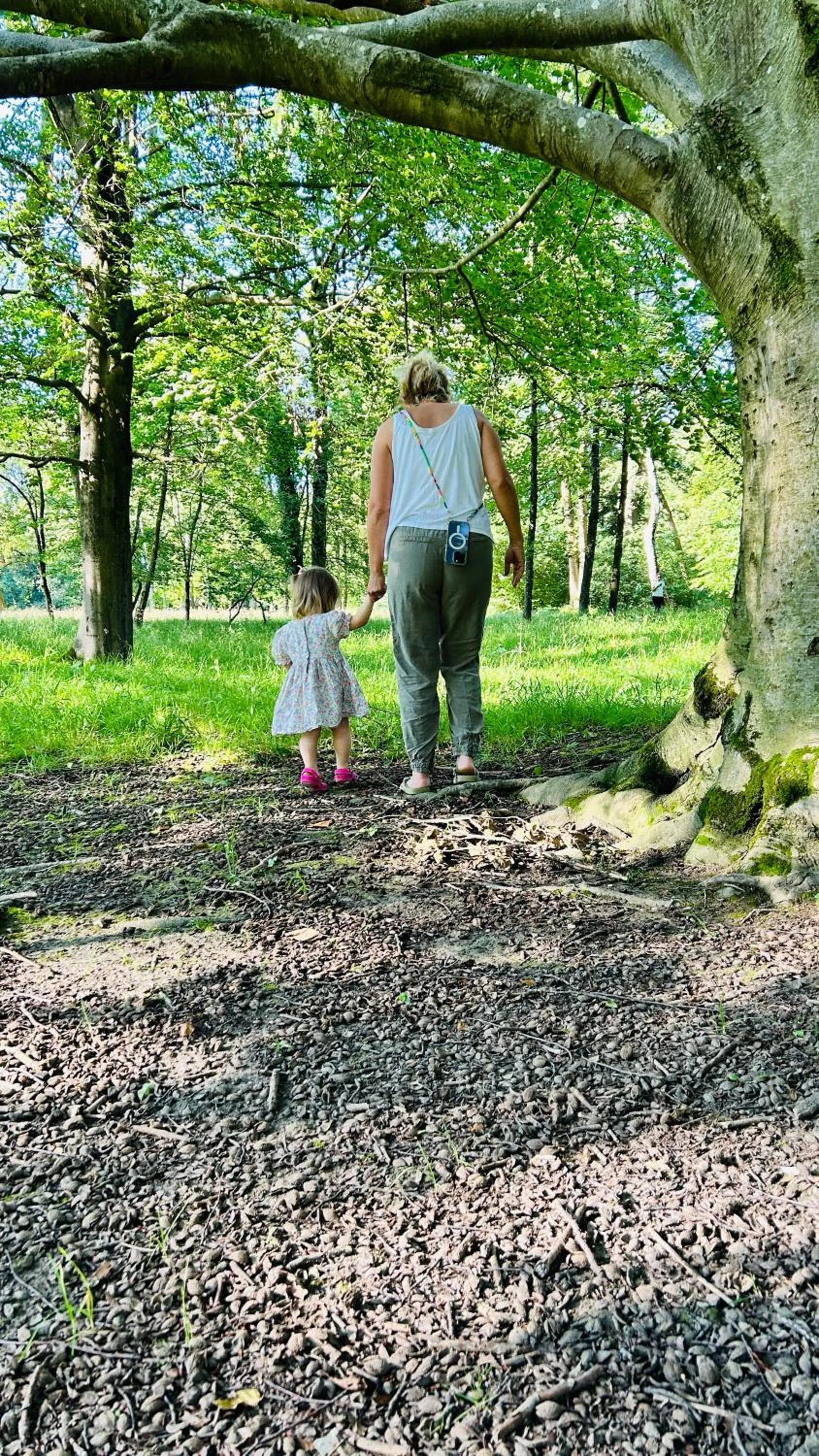 Area and facilities in Hotel Biederstein am Englischen Garten