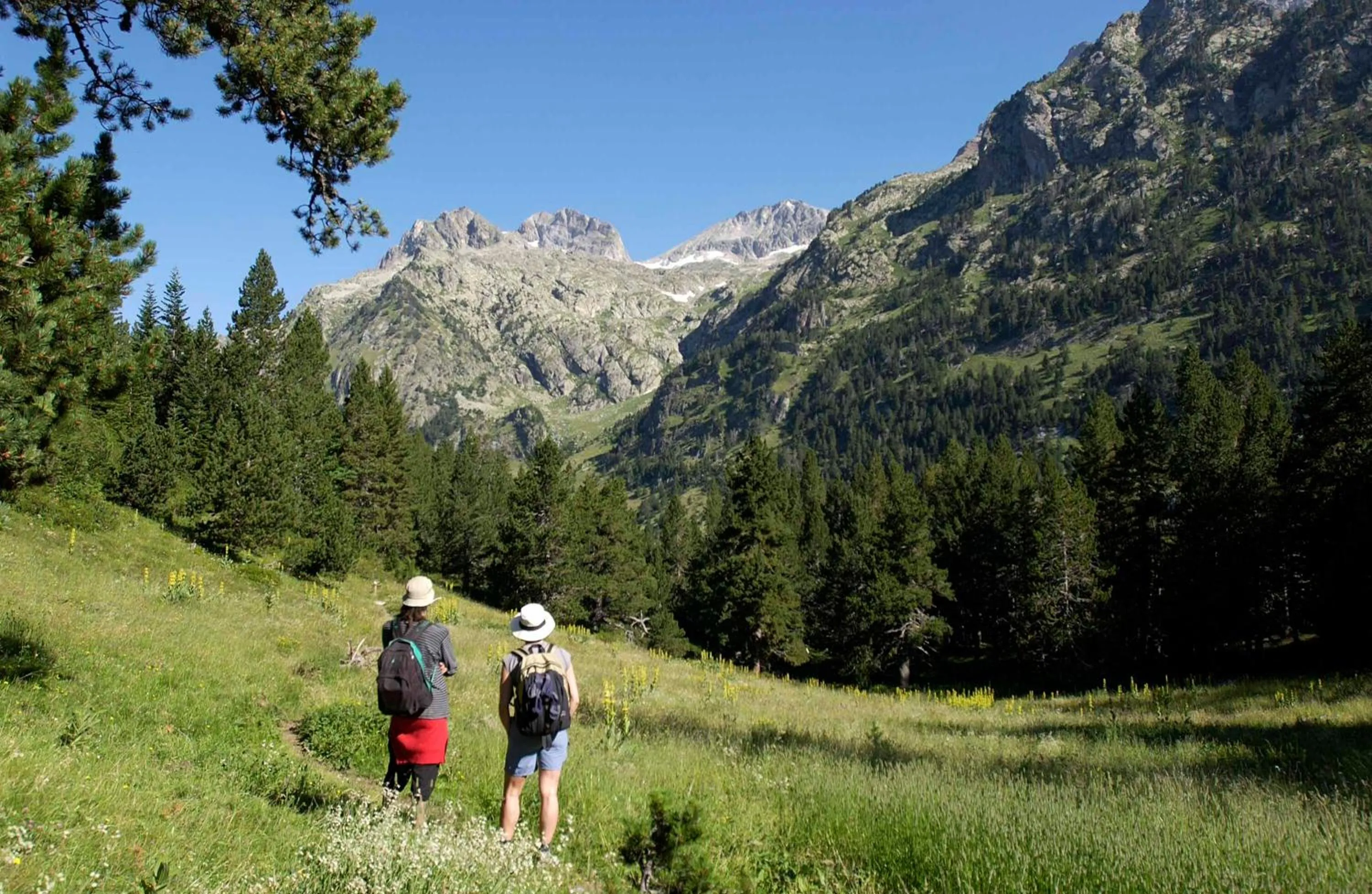 Summer in Hotel Diamó