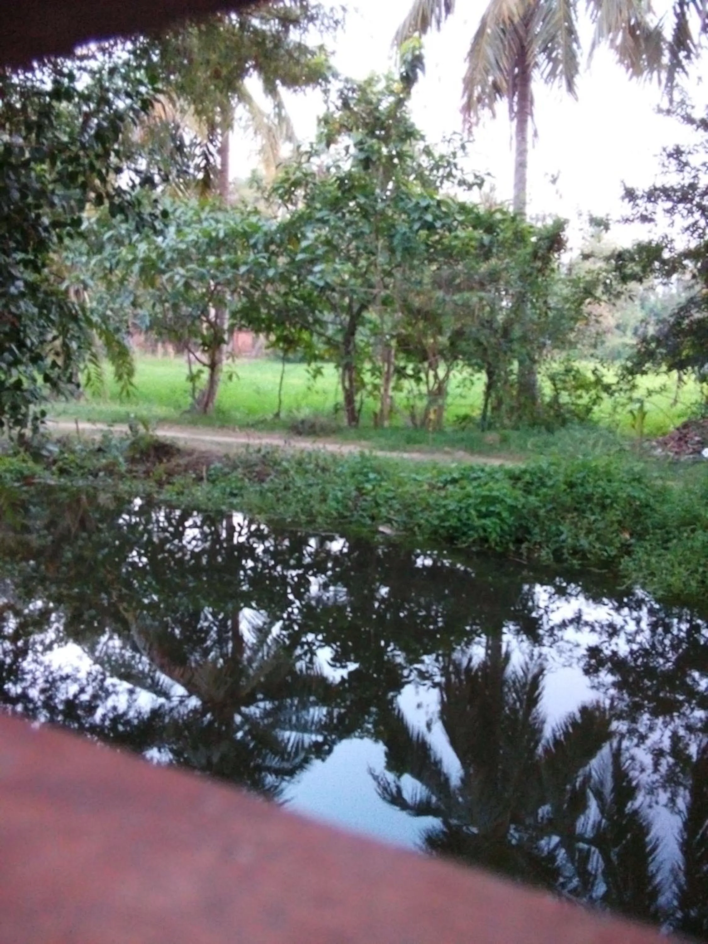 Lake view in Waterway garden
