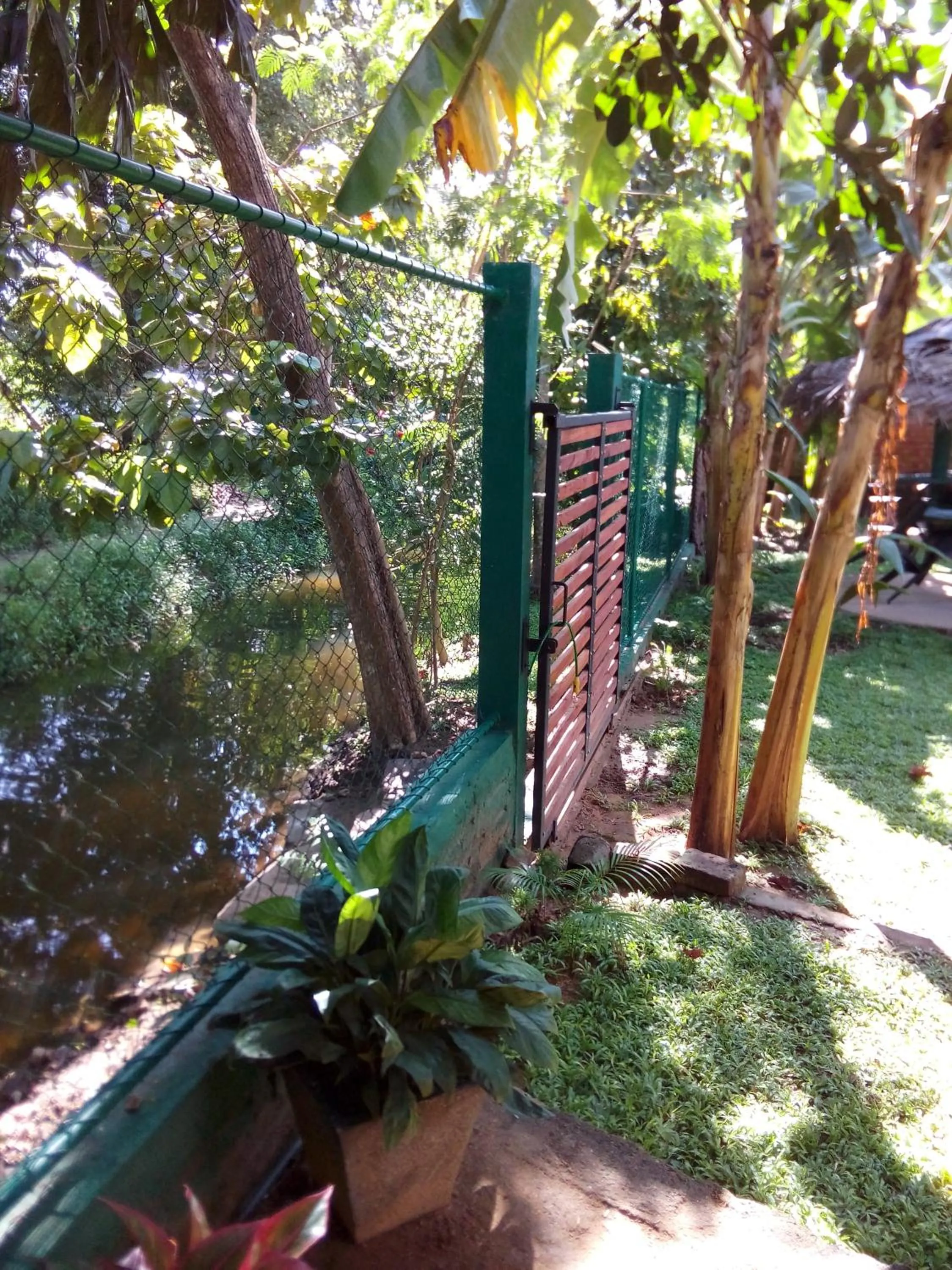 Property building in Waterway garden