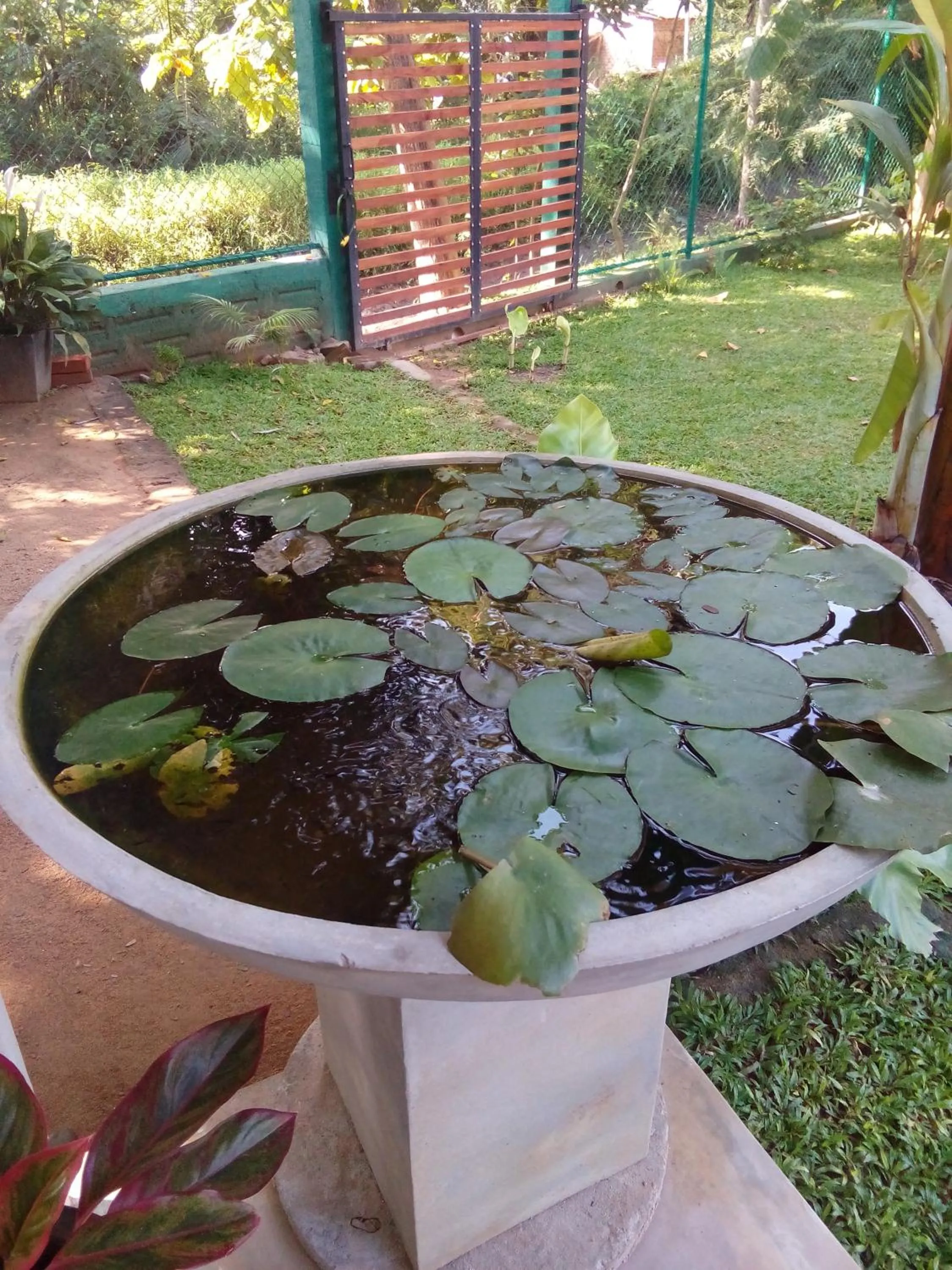 Garden view in Waterway garden