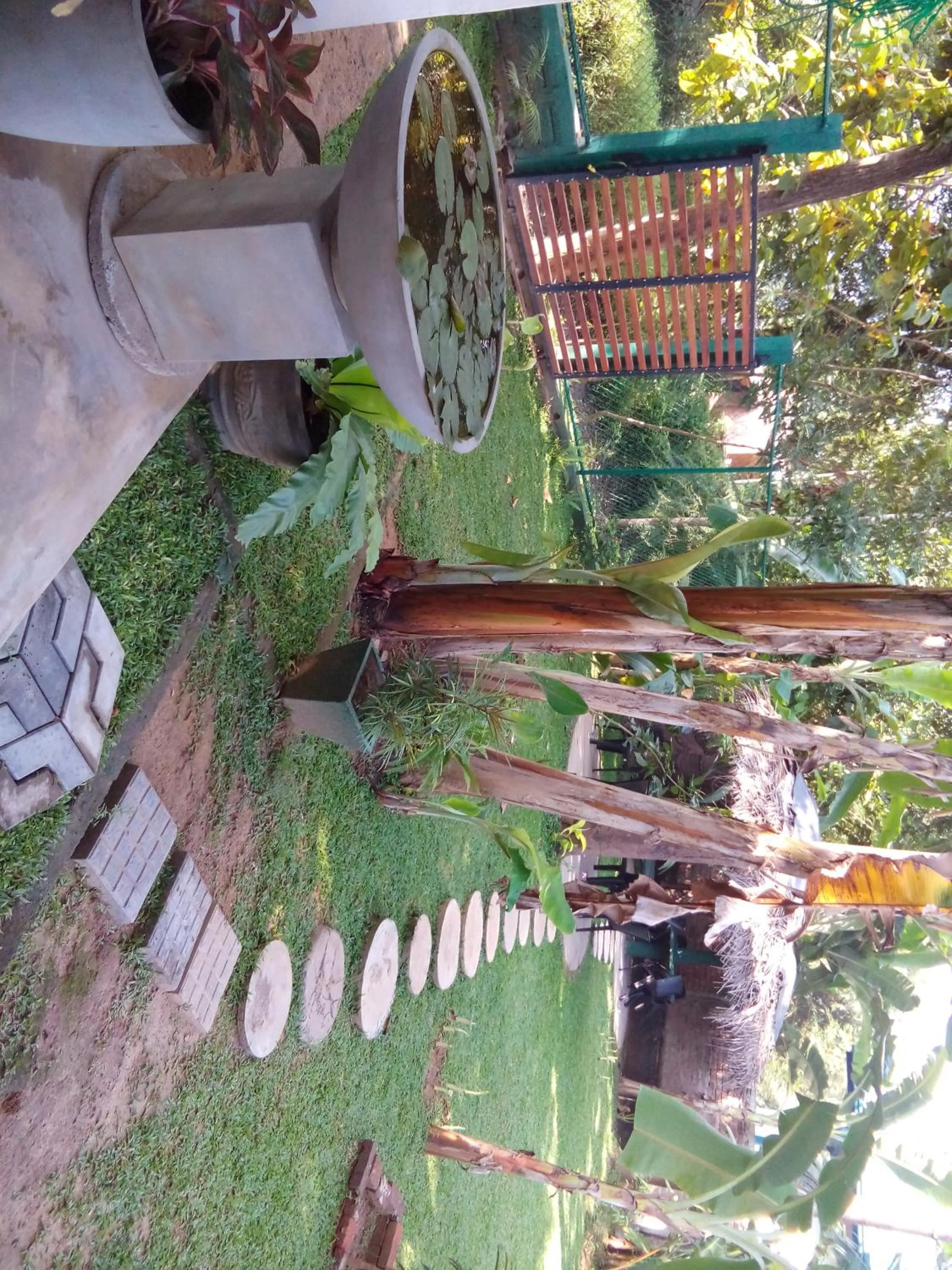 Garden view in Waterway garden