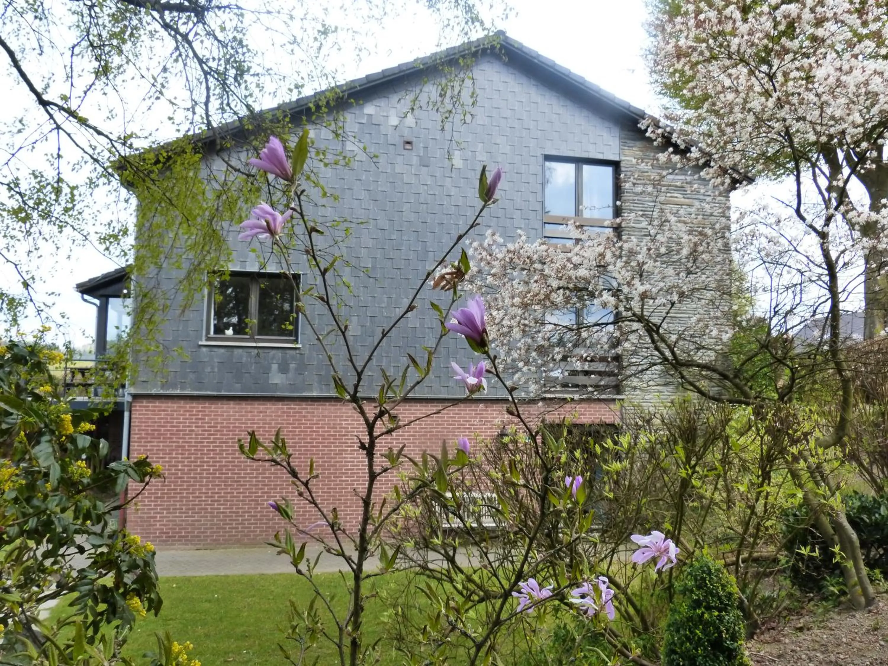 Garden in L'Horizon Studios & Apparts