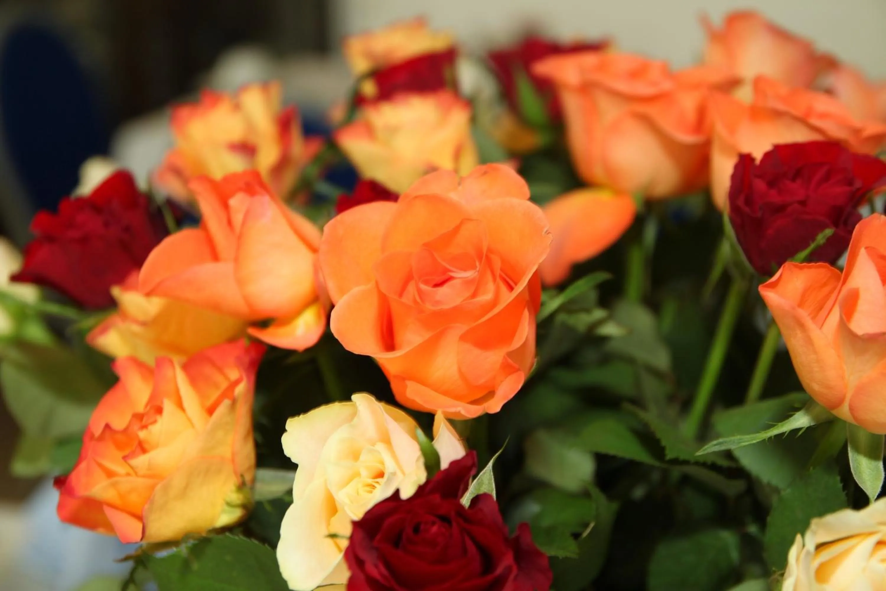 Other in Hotel Moosbichl