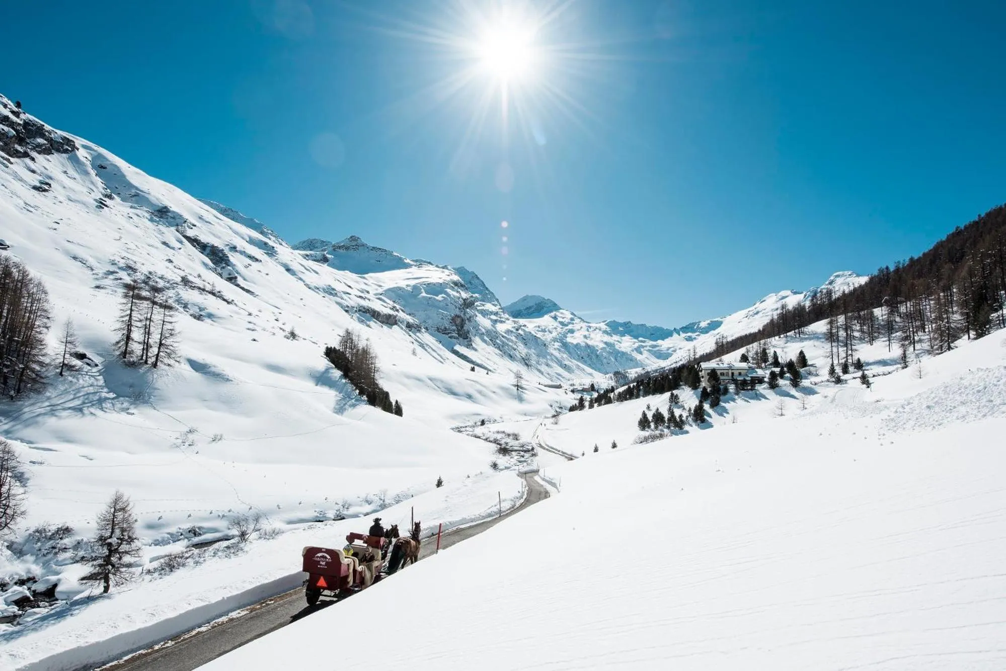 Natural landscape in Parkhotel Margna Superior