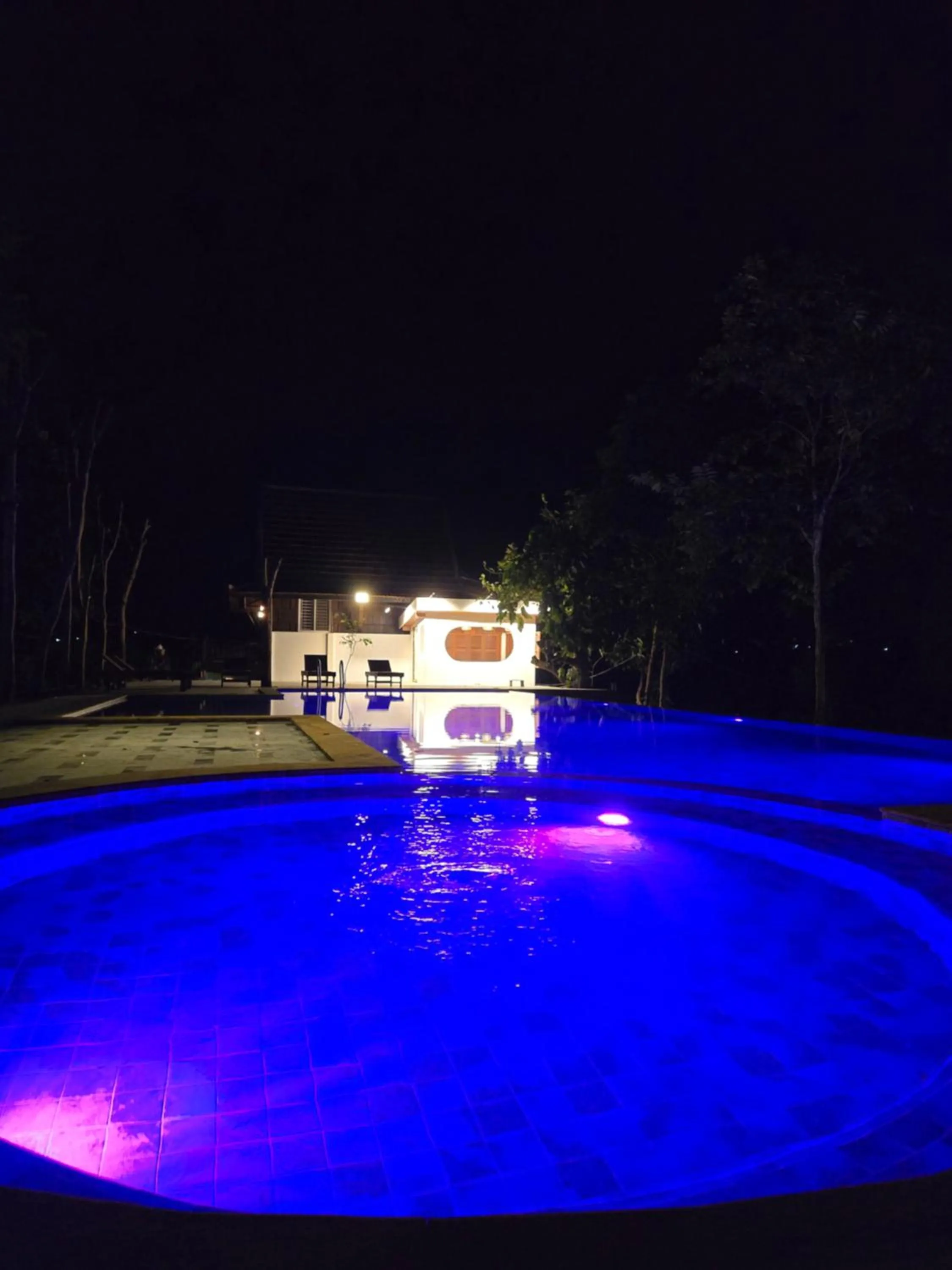 Swimming pool in Greenhouse Retreat