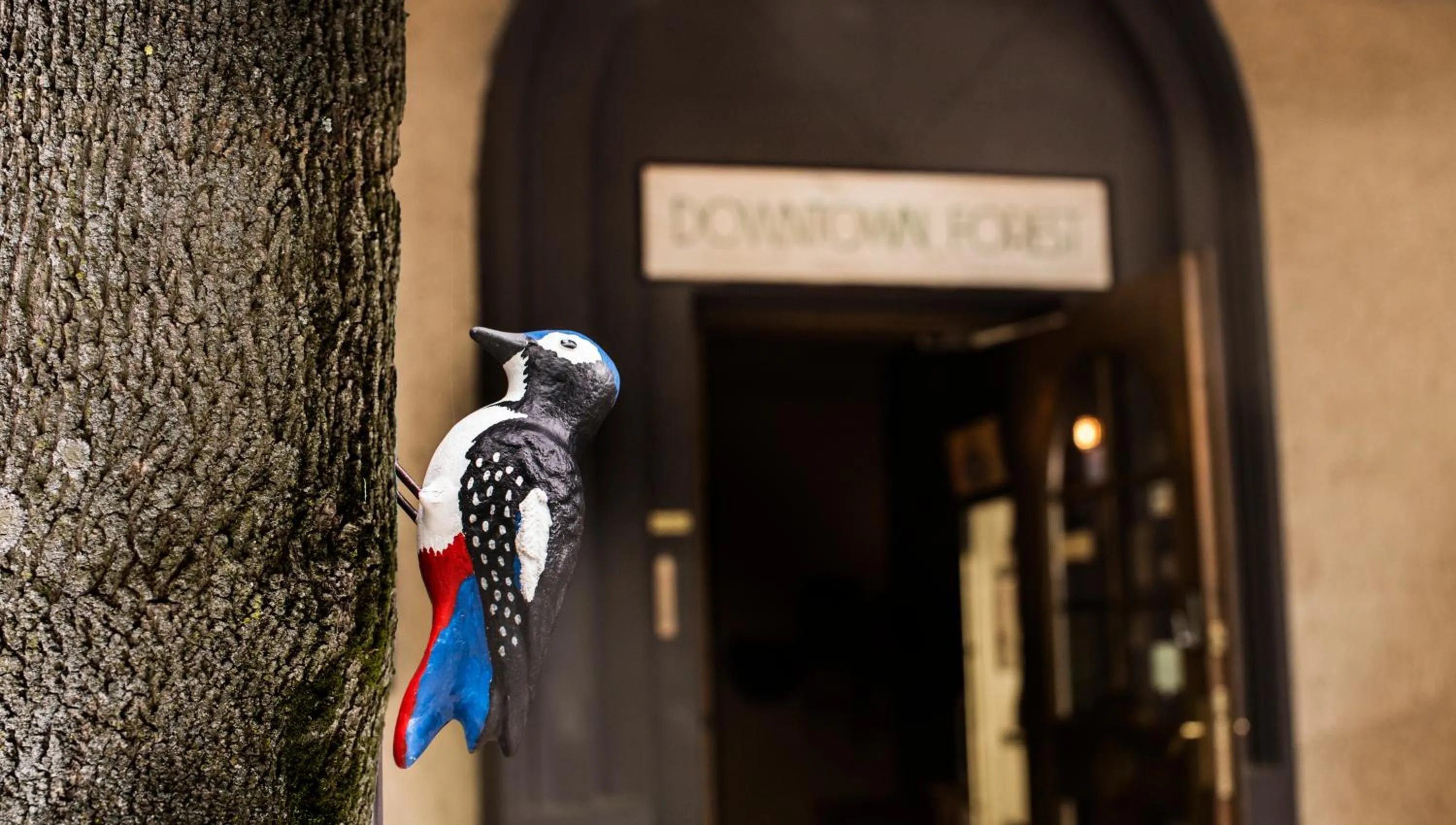 Logo/Certificate/Sign in Downtown Forest Hostel & Camping