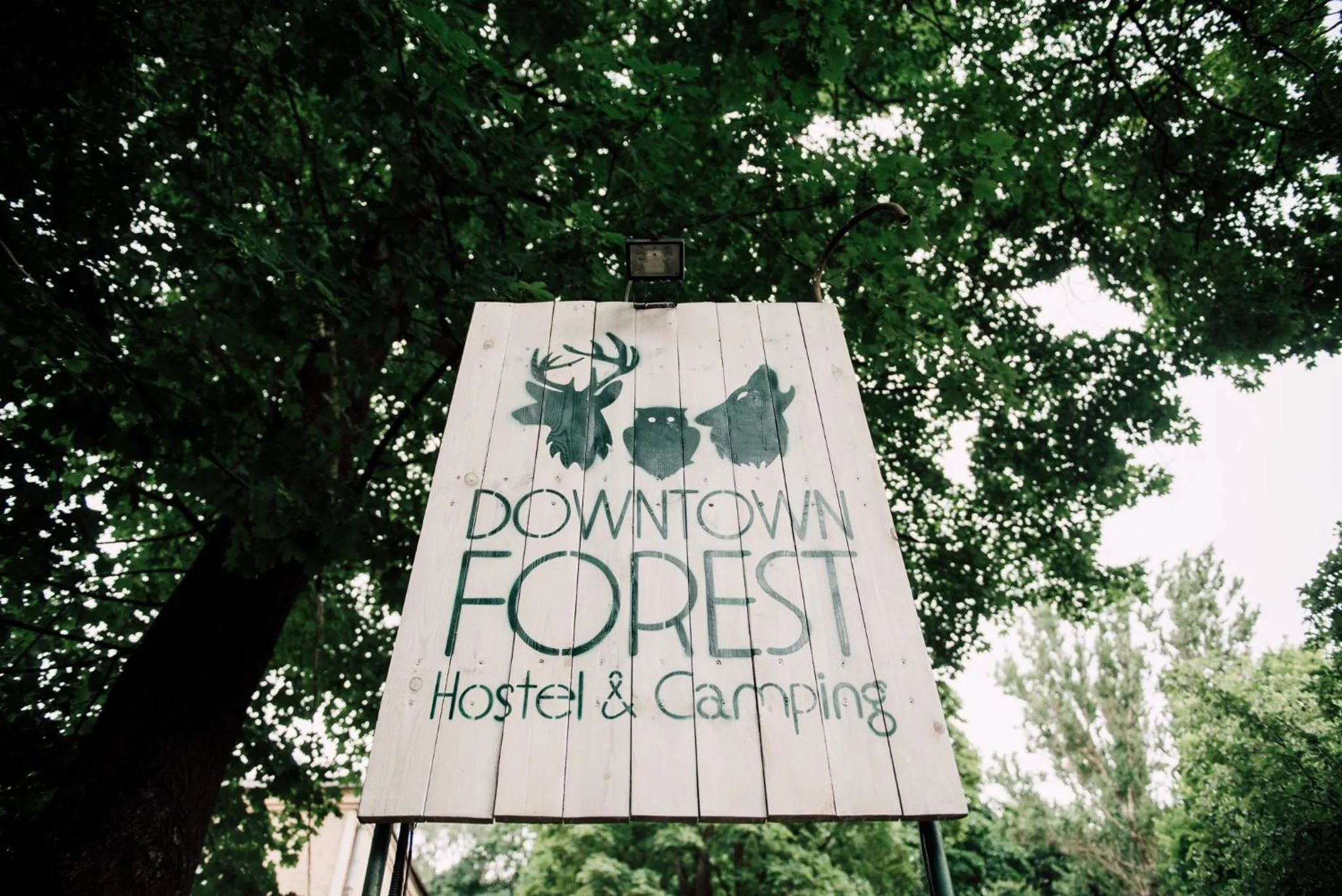 Facade/entrance in Downtown Forest Hostel & Camping