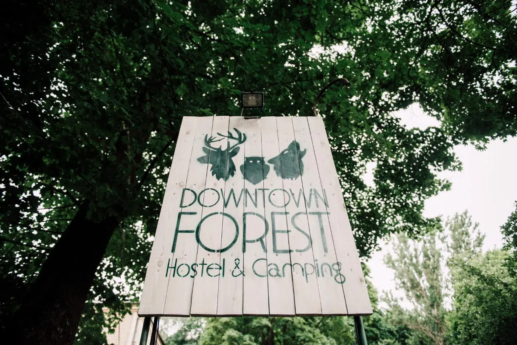 Facade/entrance in Downtown Forest Hostel & Camping Facade/entrance in Downtown Forest Hostel & Camping