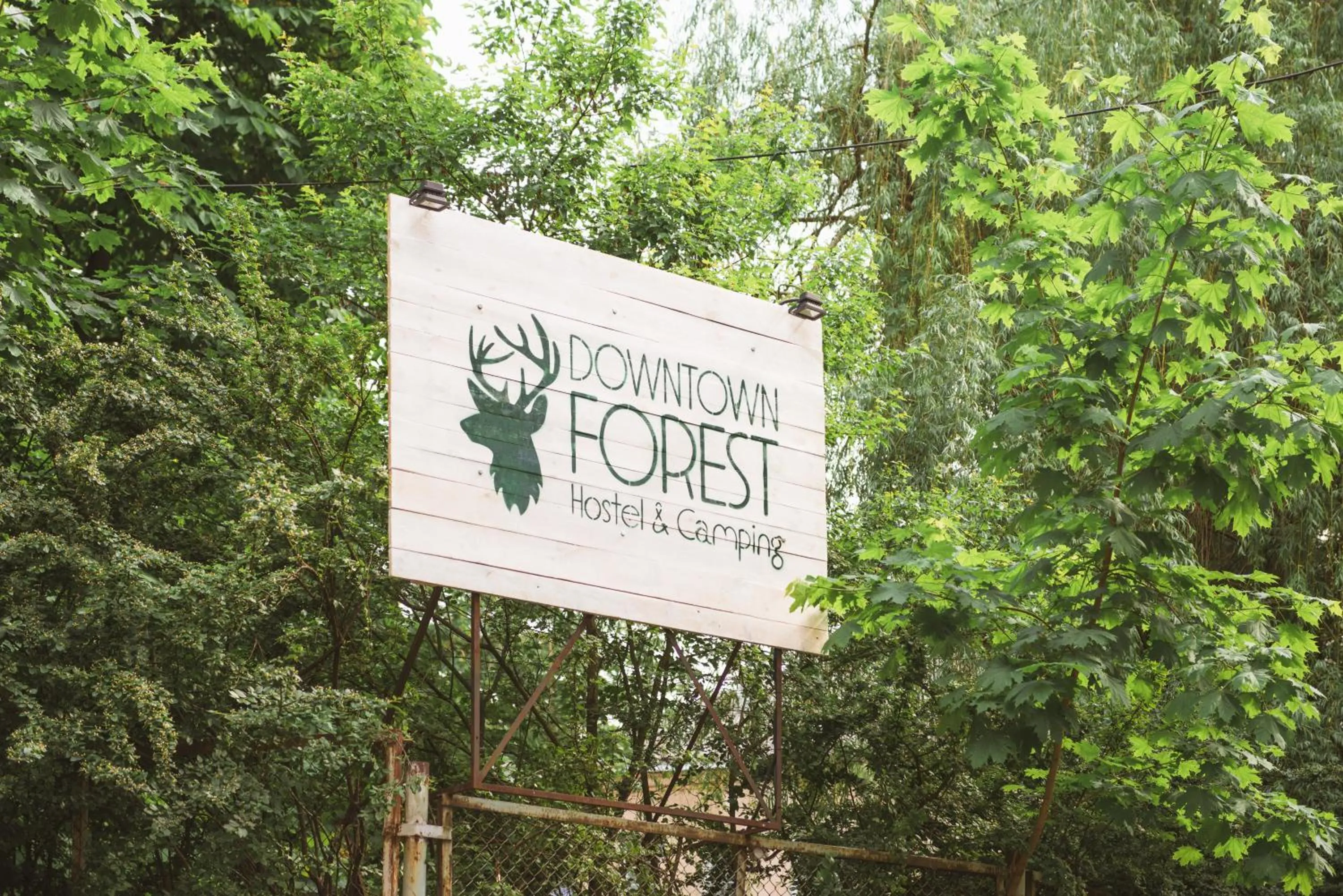 Property logo or sign in Downtown Forest Hostel & Camping