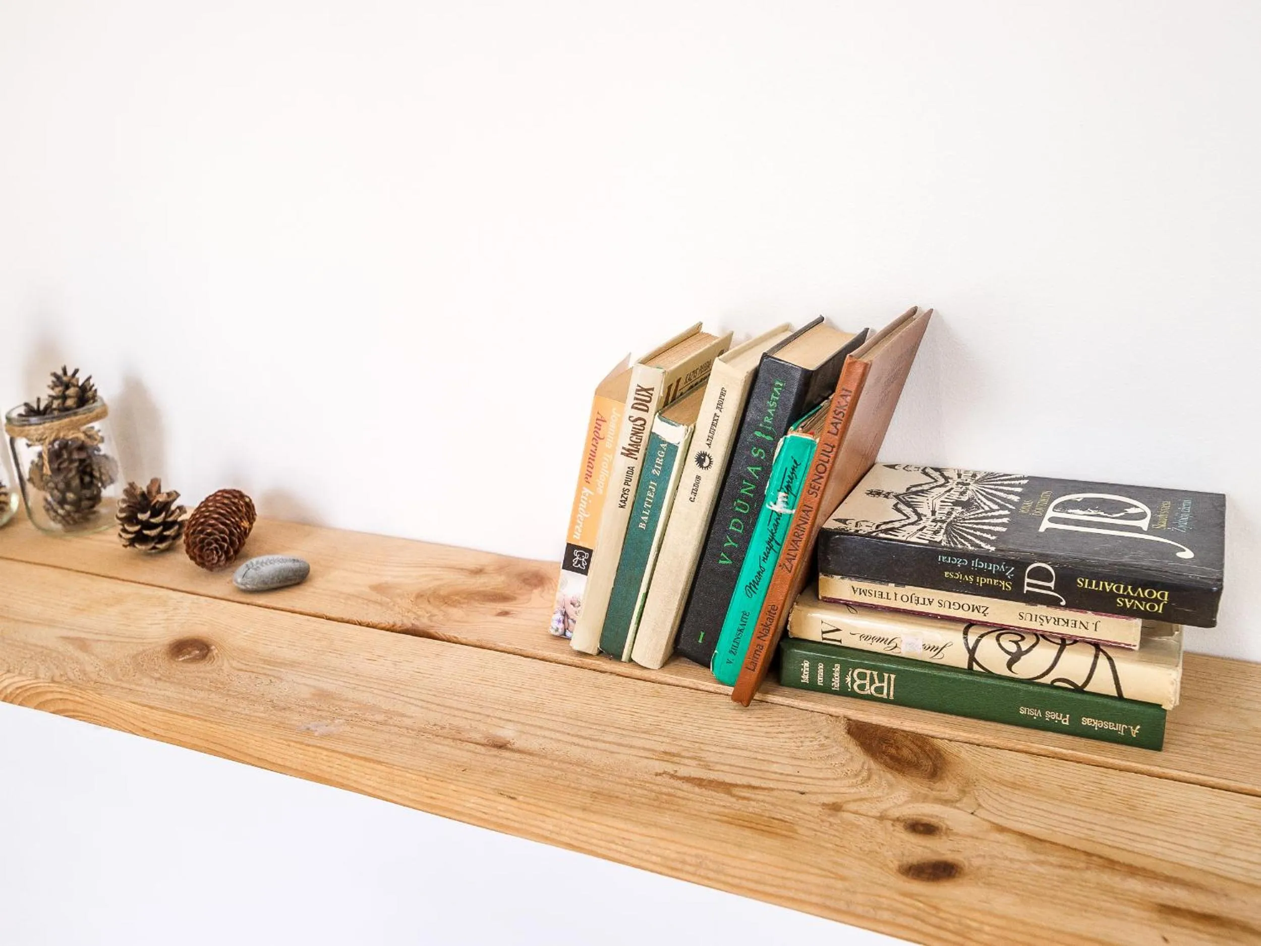 Library in Downtown Forest Hostel & Camping