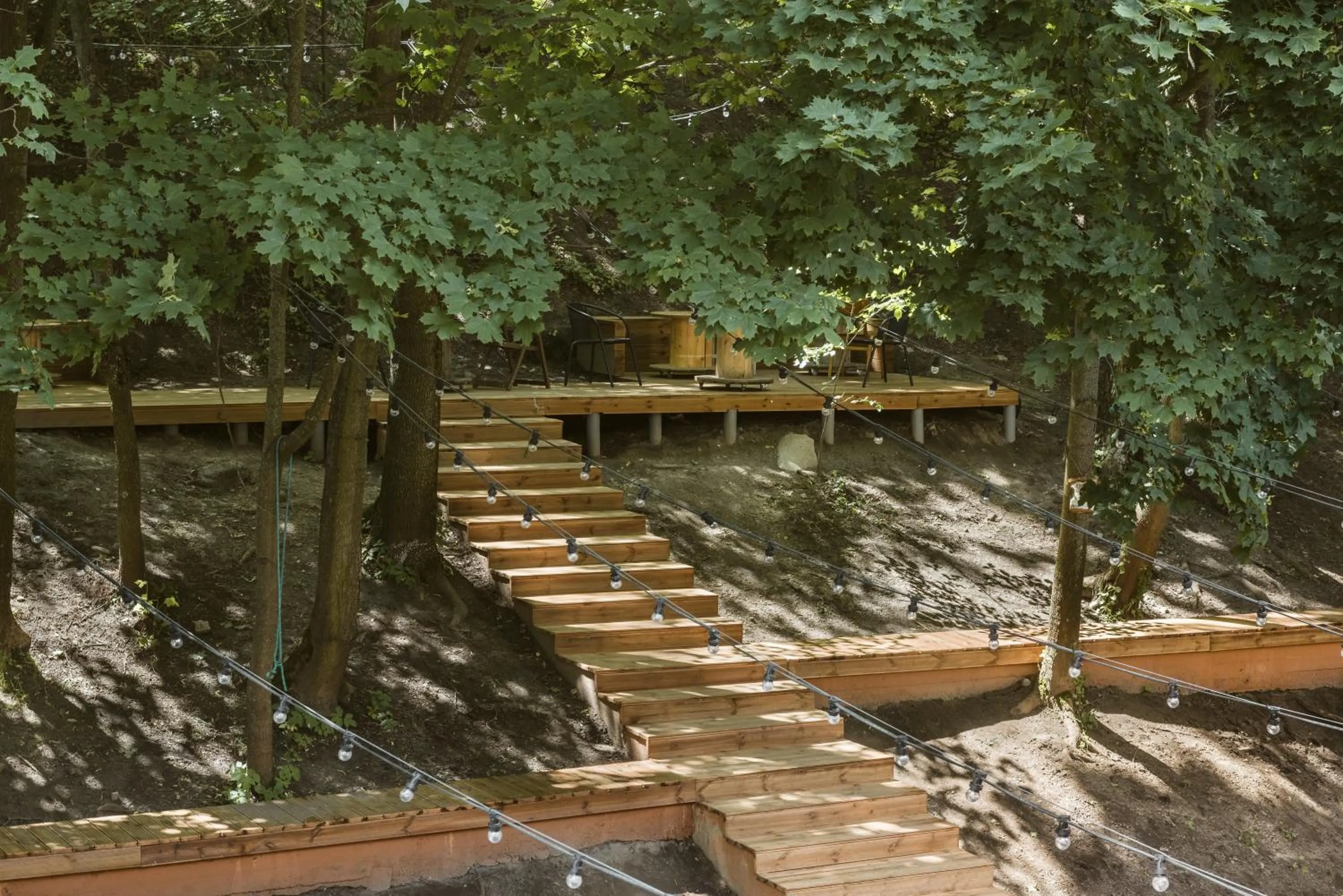 Garden in Downtown Forest Hostel & Camping