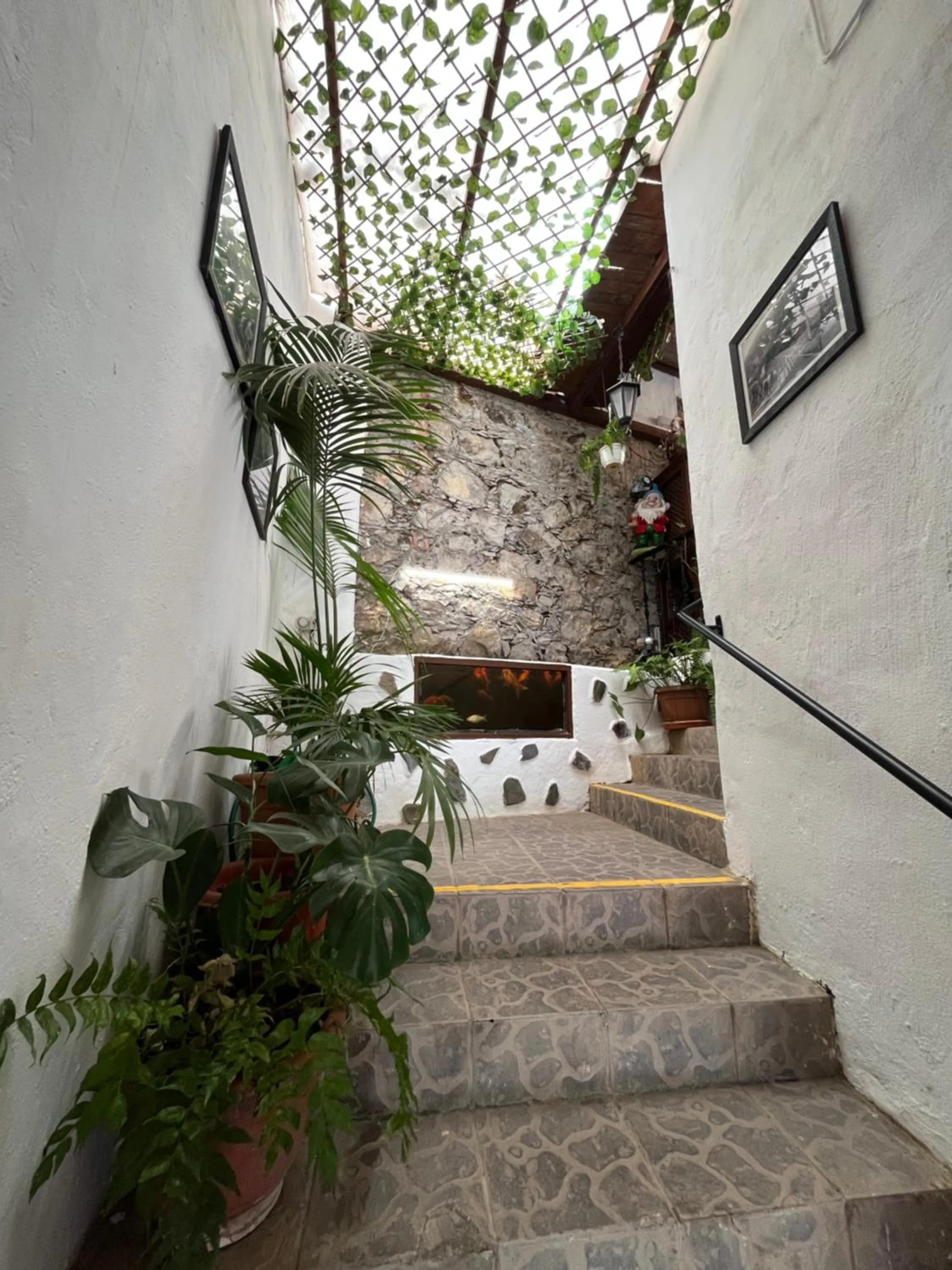 Hotel Rural Villa de Hermigua
