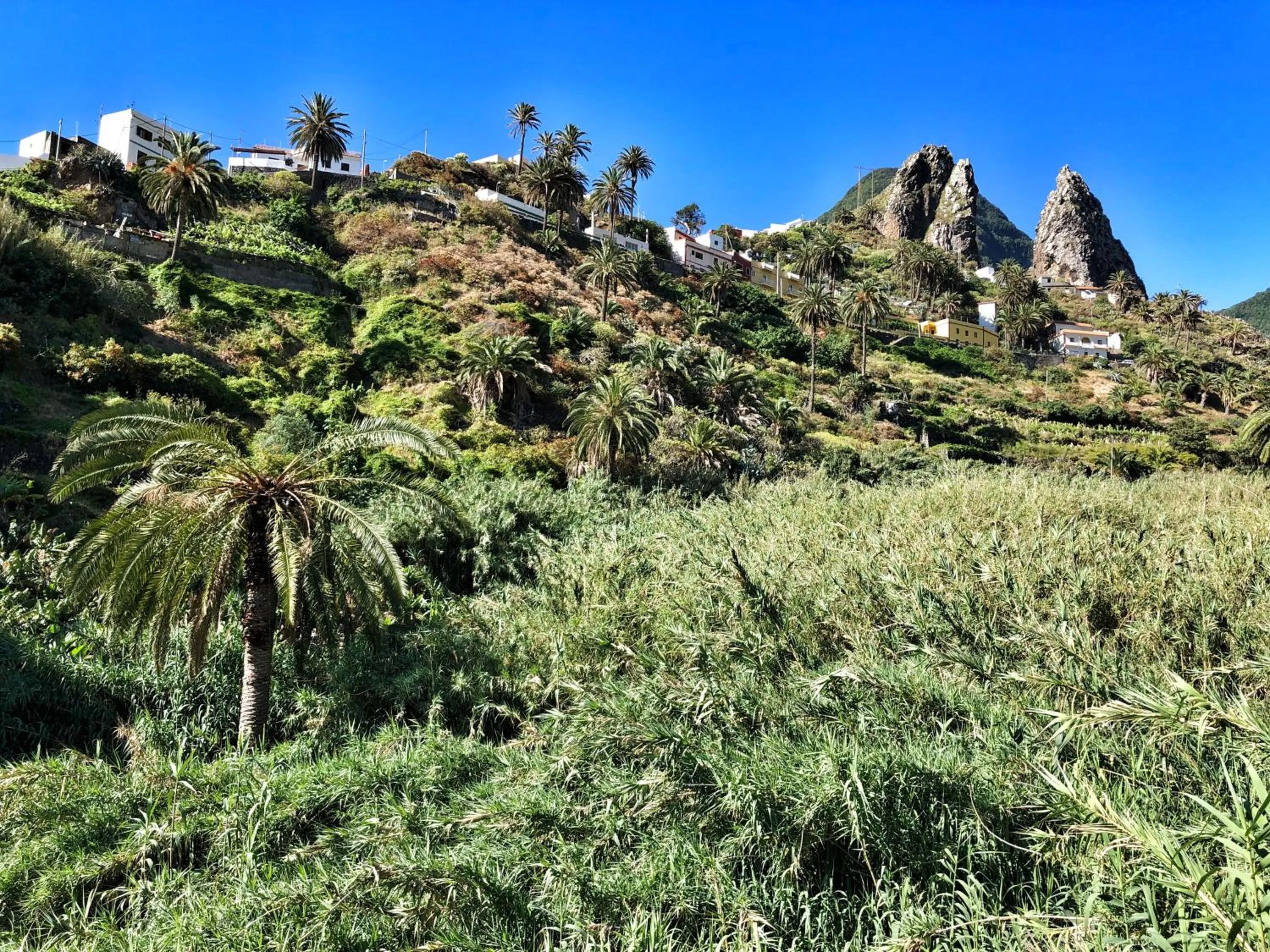 Hiking in Hotel Rural Villa de Hermigua