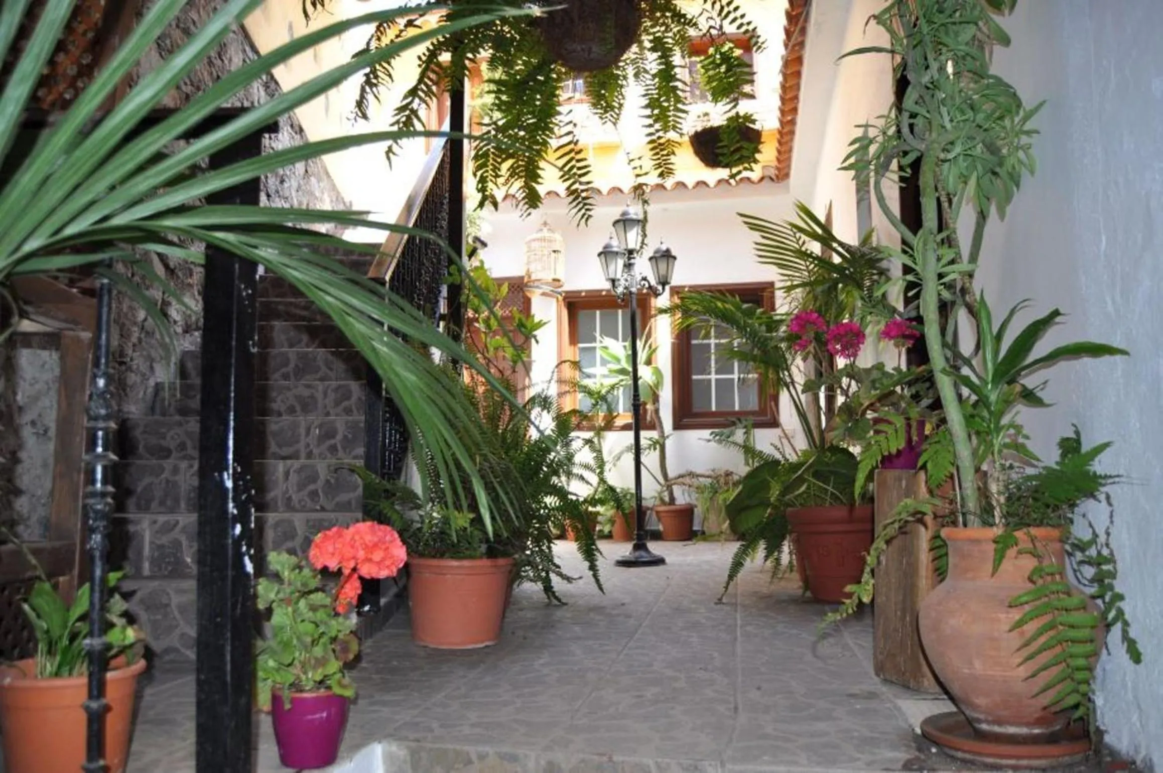 Other in Hotel Rural Villa de Hermigua