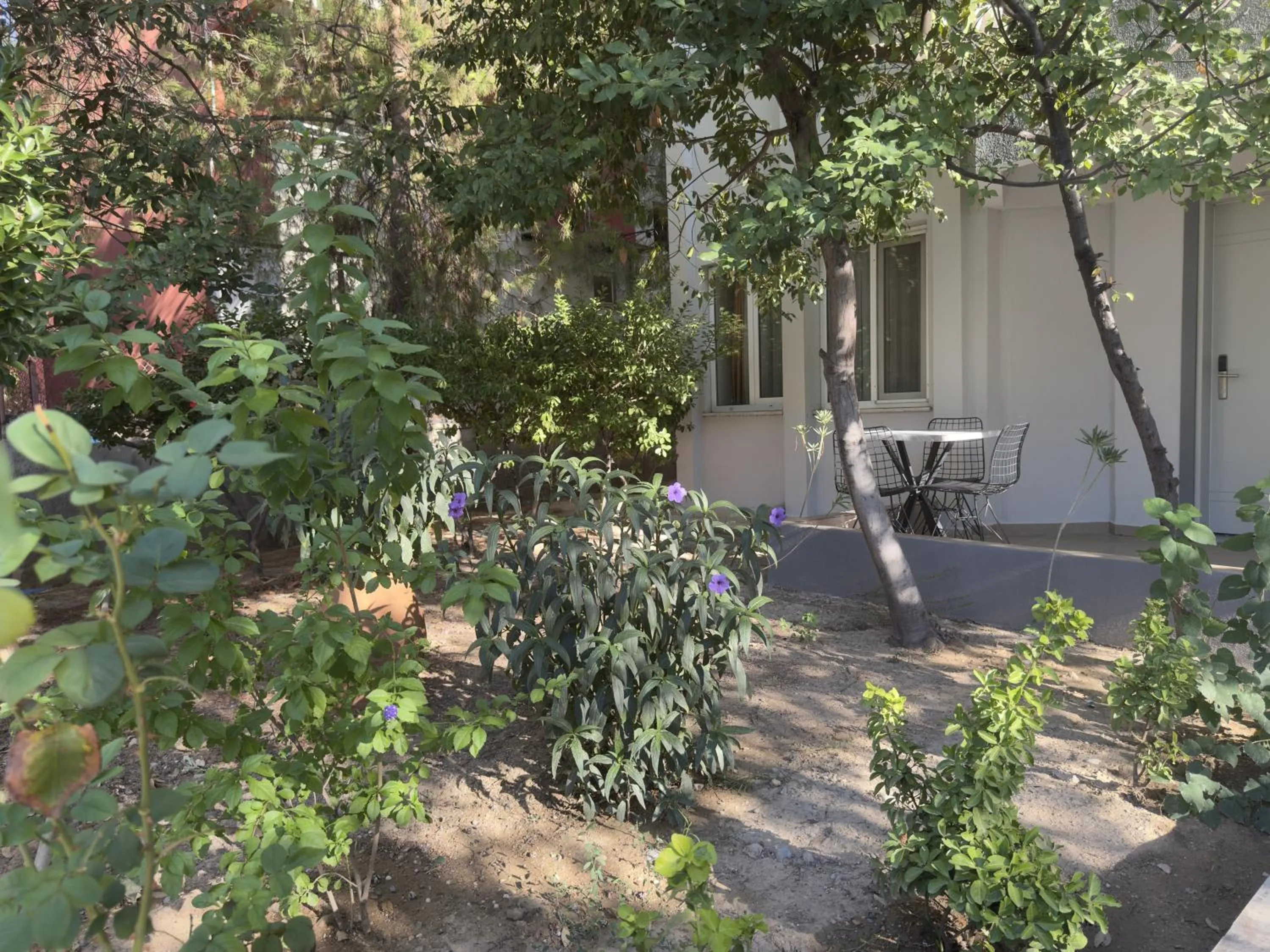 Garden in Reis Thermal Otel