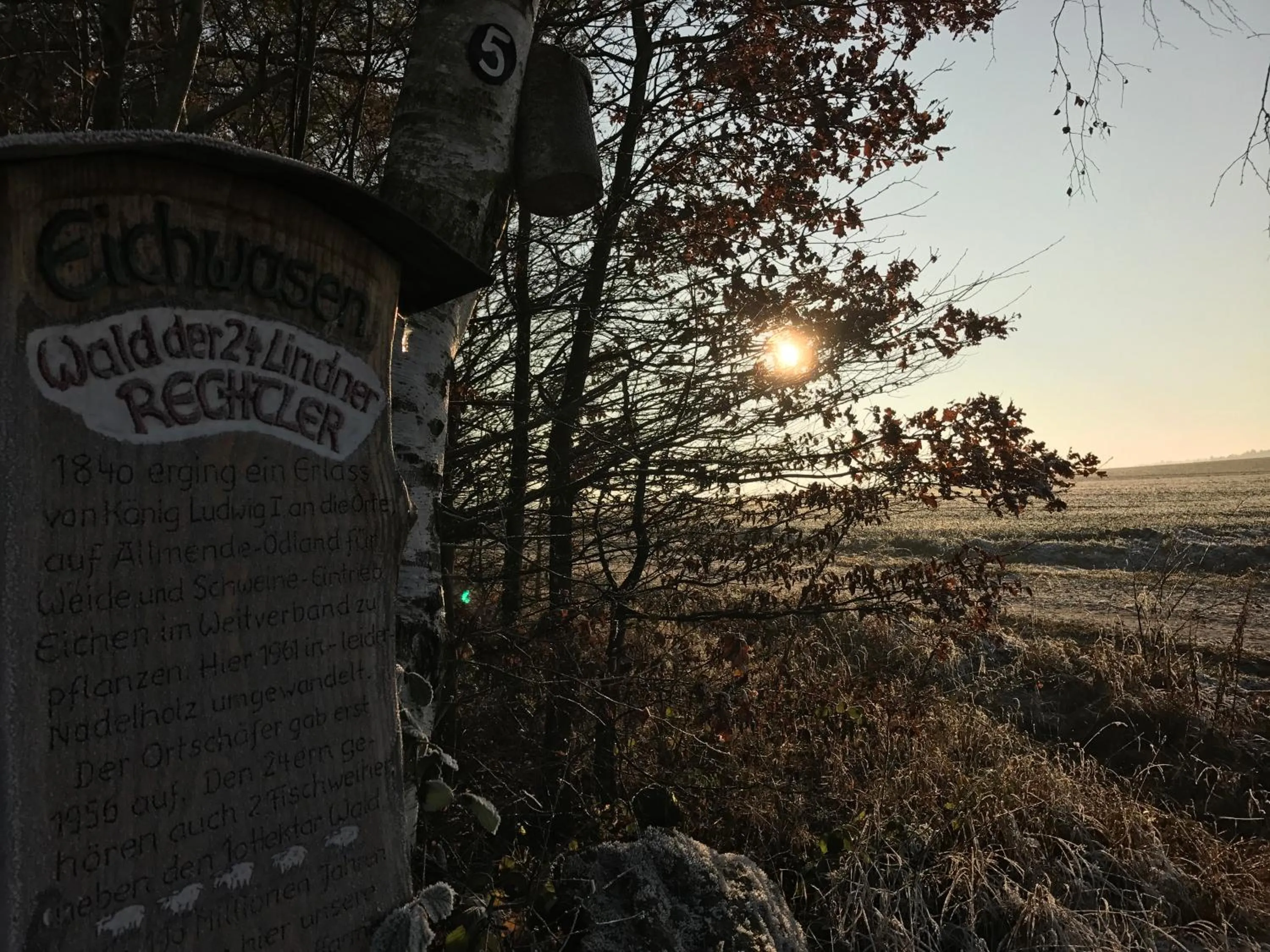 Natural landscape in Landhotel Rangau Gasthof & Brennerei