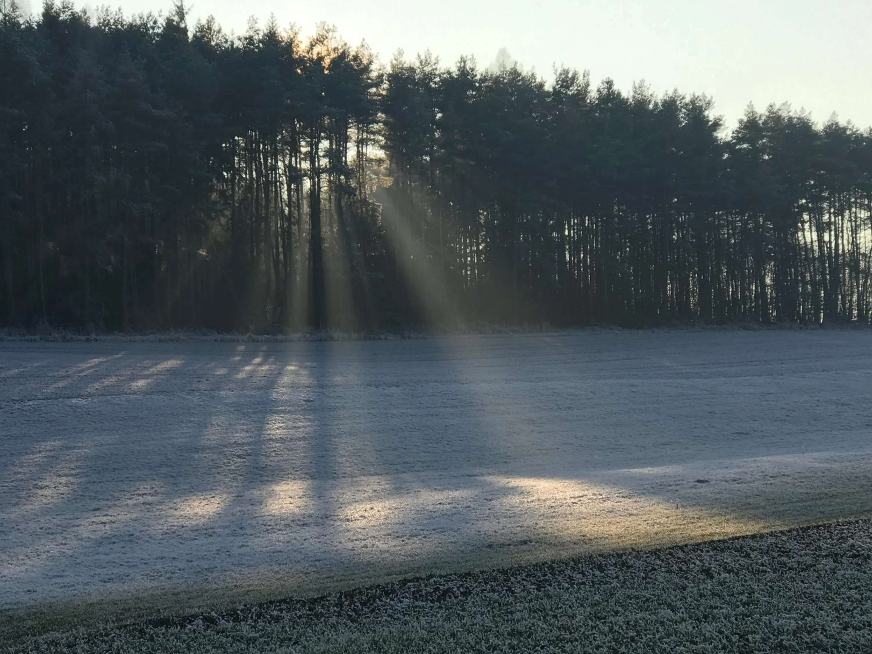 Natural landscape in Landhotel Rangau Gasthof & Brennerei