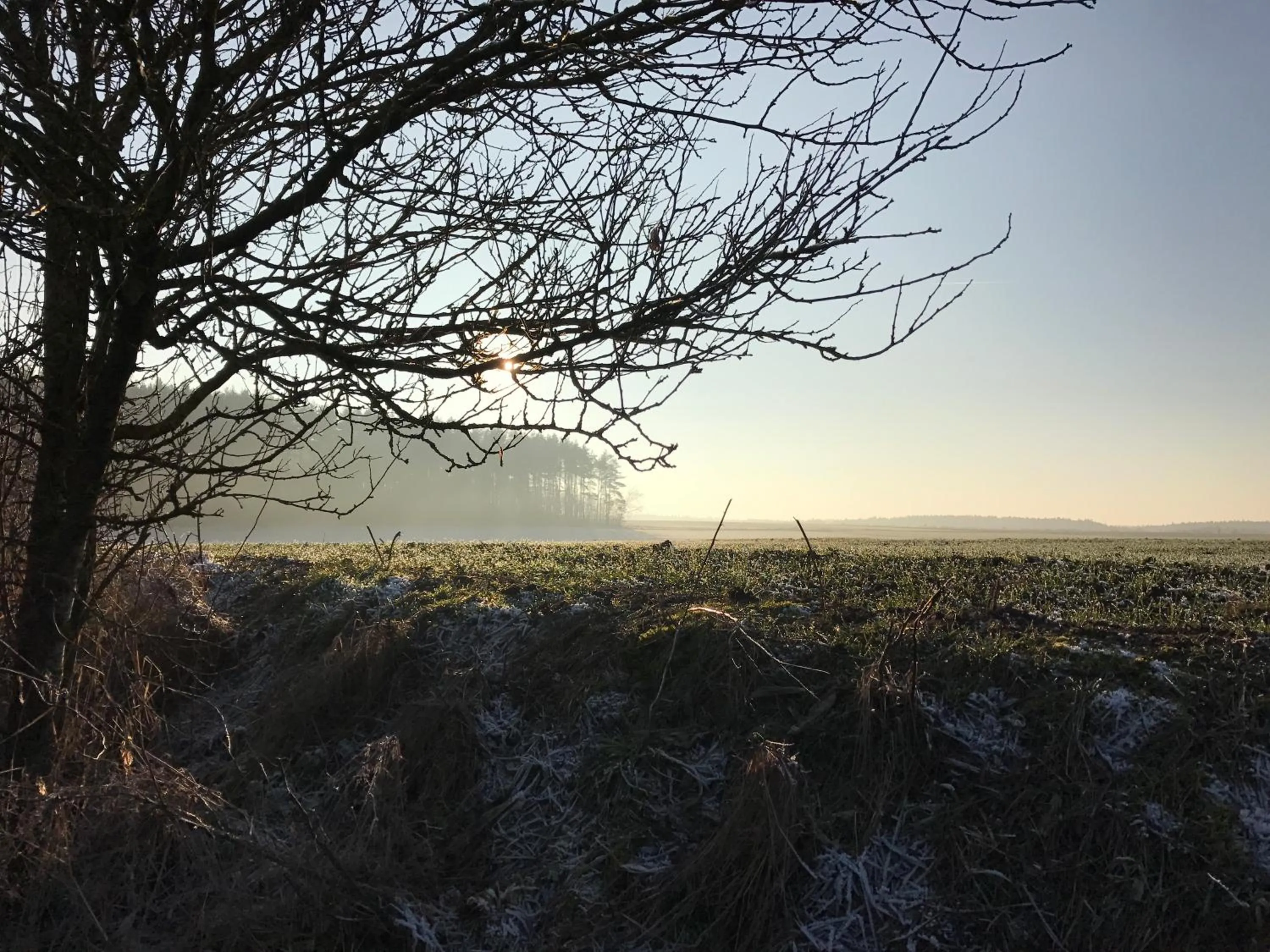 Natural landscape in Landhotel Rangau Gasthof & Brennerei