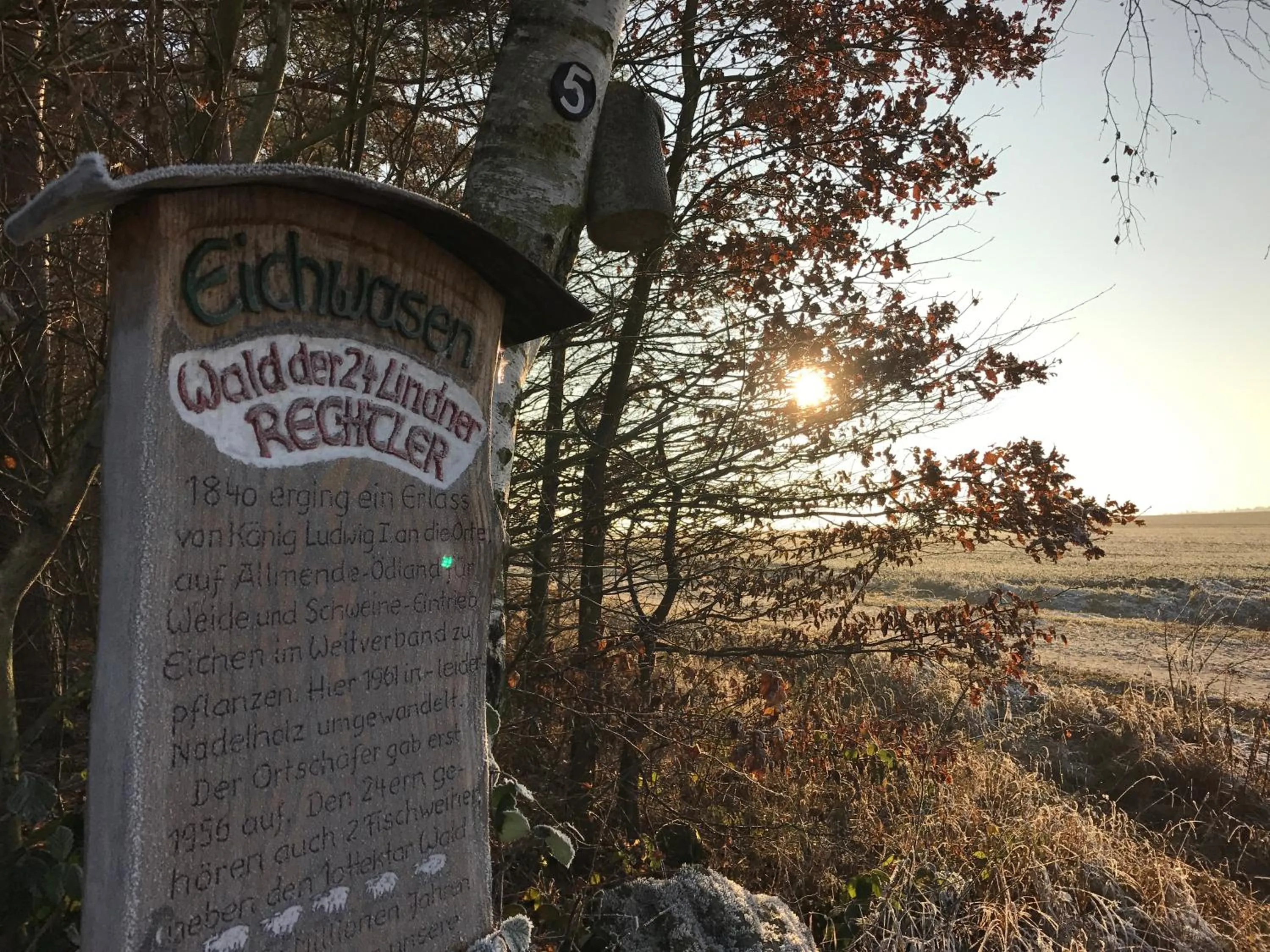 Hiking in Landhotel Rangau Gasthof & Brennerei