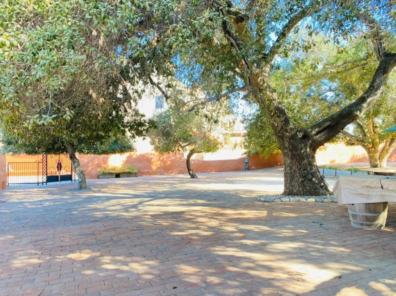 Property building in Hotel Hacienda Santana