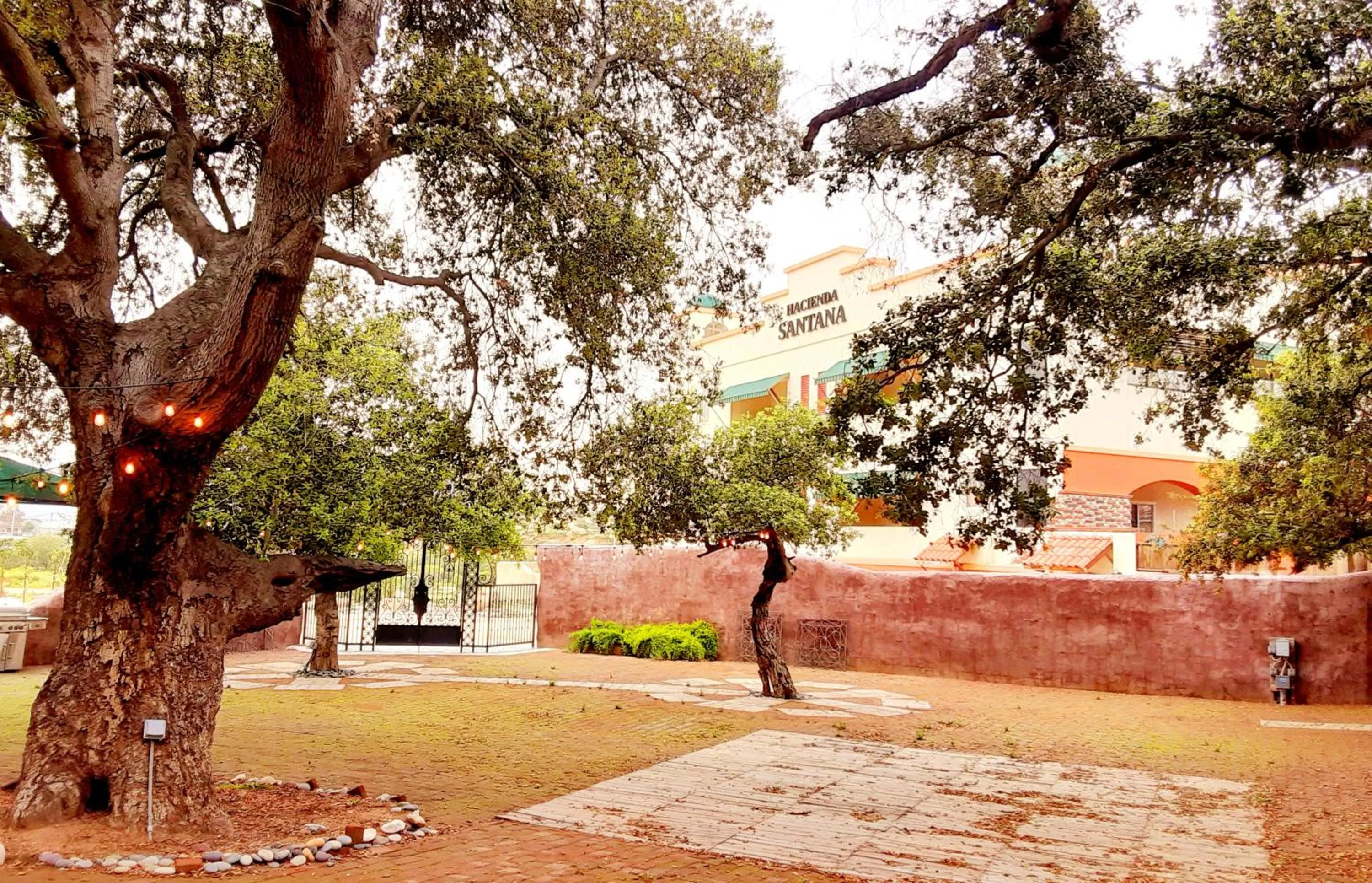 Garden in Hotel Hacienda Santana